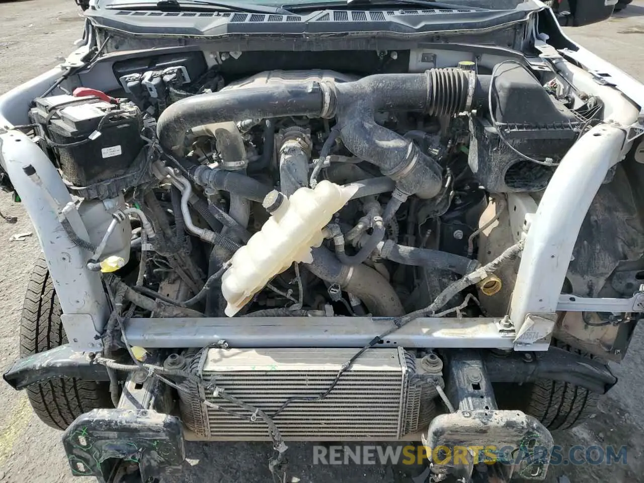 11 Photograph of a damaged car 1FTFW1E89MFC80498 FORD F-150 2021