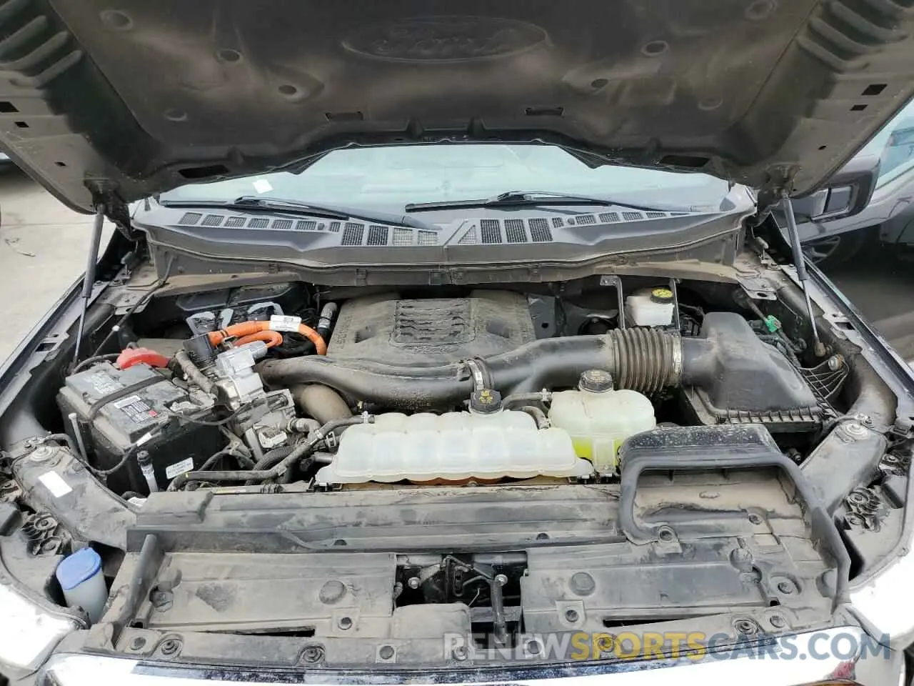 11 Фотография поврежденного автомобиля 1FTFW1ED4MFA04985 FORD F-150 2021