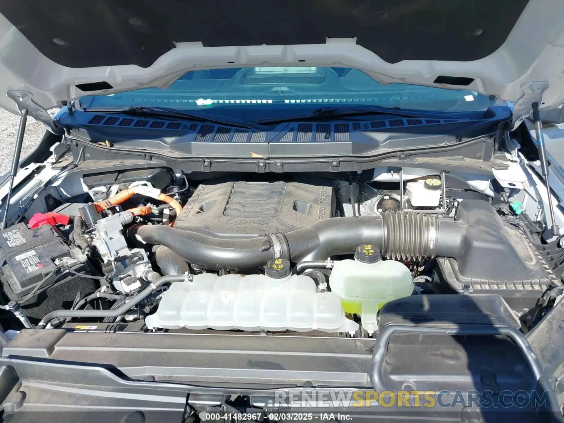 10 Фотография поврежденного автомобиля 1FTFW1EDXMFB23849 FORD F-150 2021