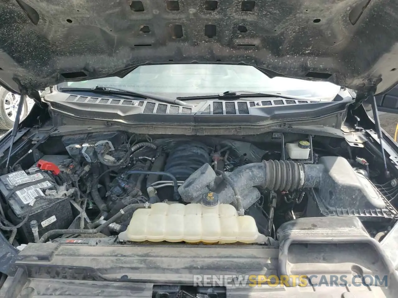 11 Photograph of a damaged car 1FTFX1E53MFD02174 FORD F-150 2021