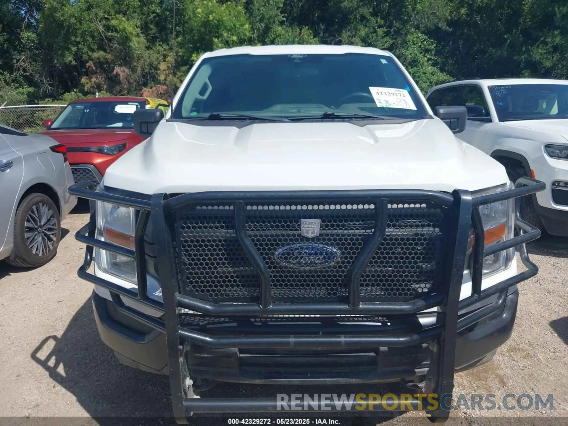 12 Photograph of a damaged car 1FTFX1E56MFD09555 FORD F-150 2021