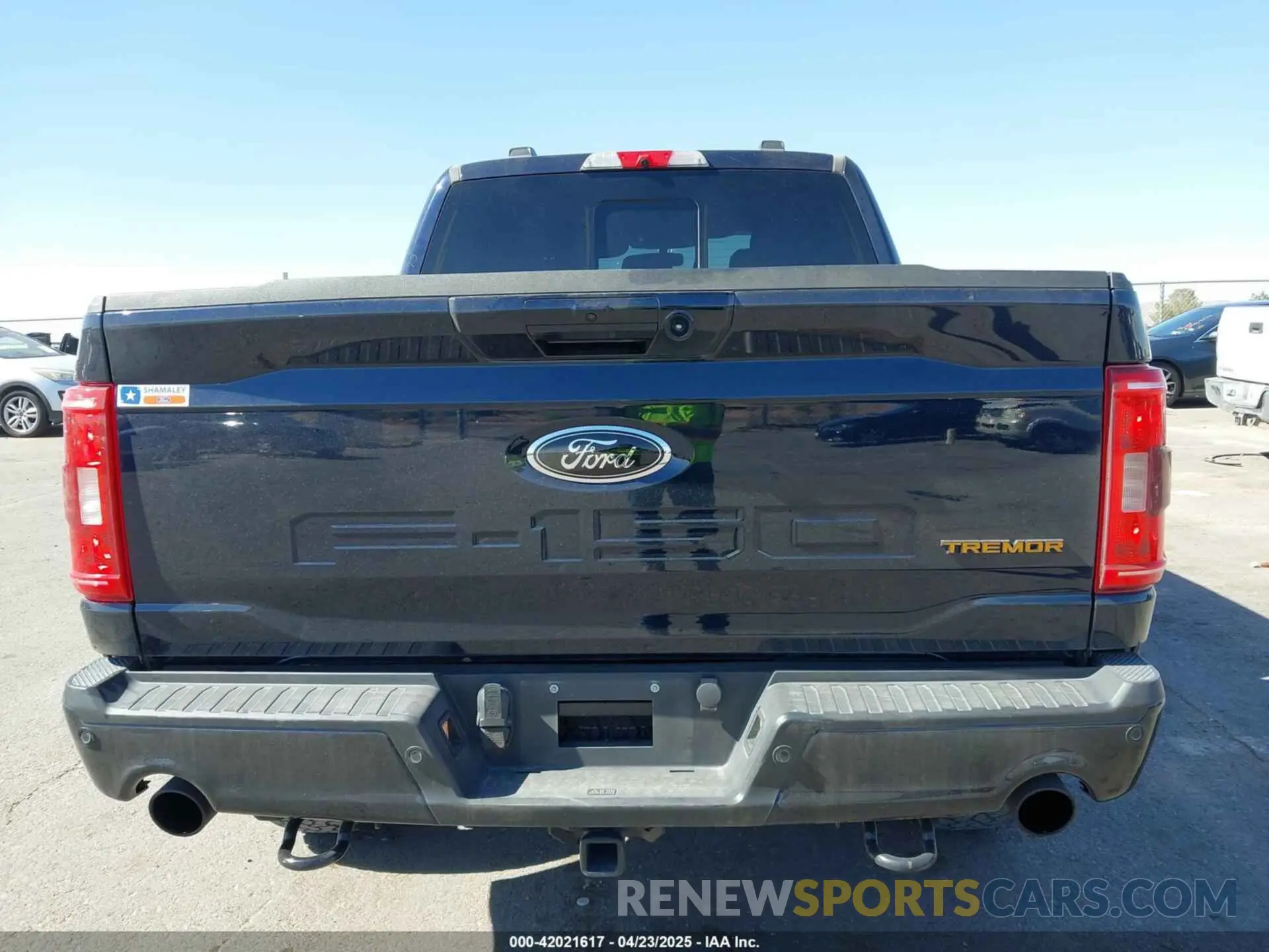 16 Фотография поврежденного автомобиля 1FTEW1E86NFB93235 FORD F-150 2022