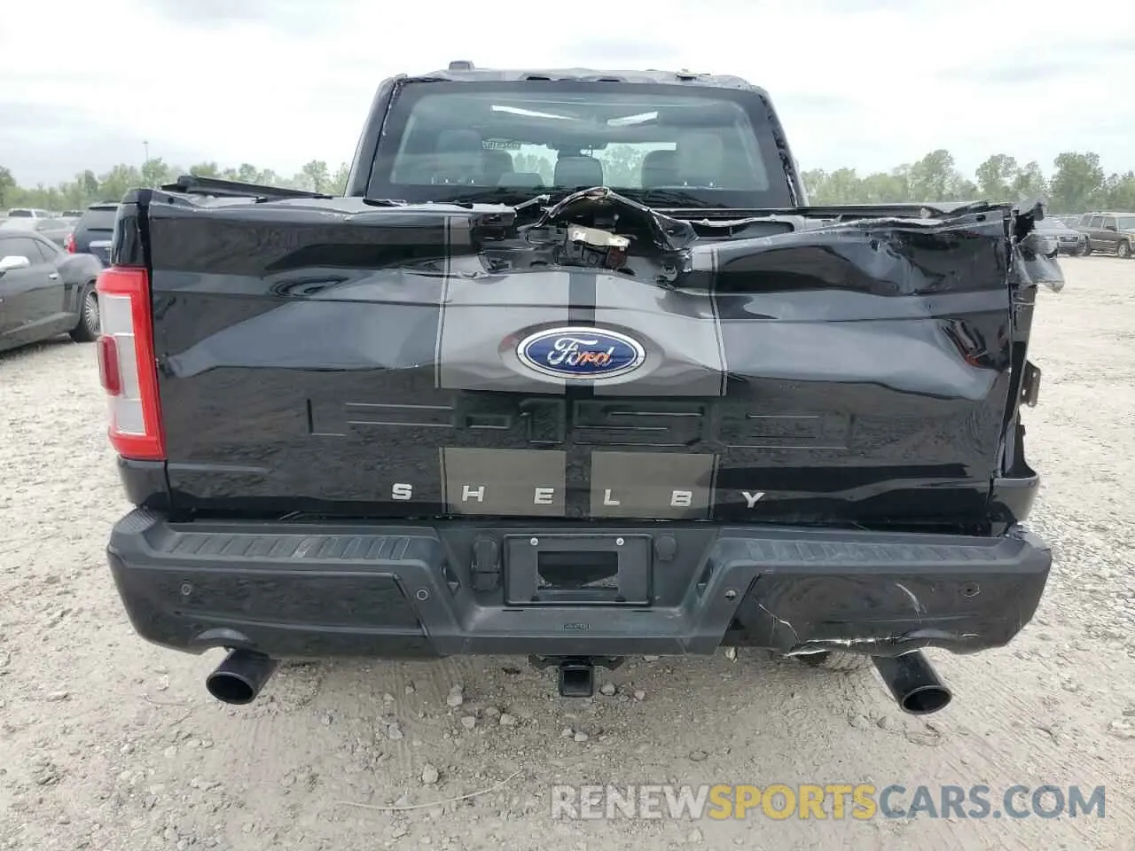 6 Photograph of a damaged car 1FTFW1E51NFB33244 FORD F-150 2022