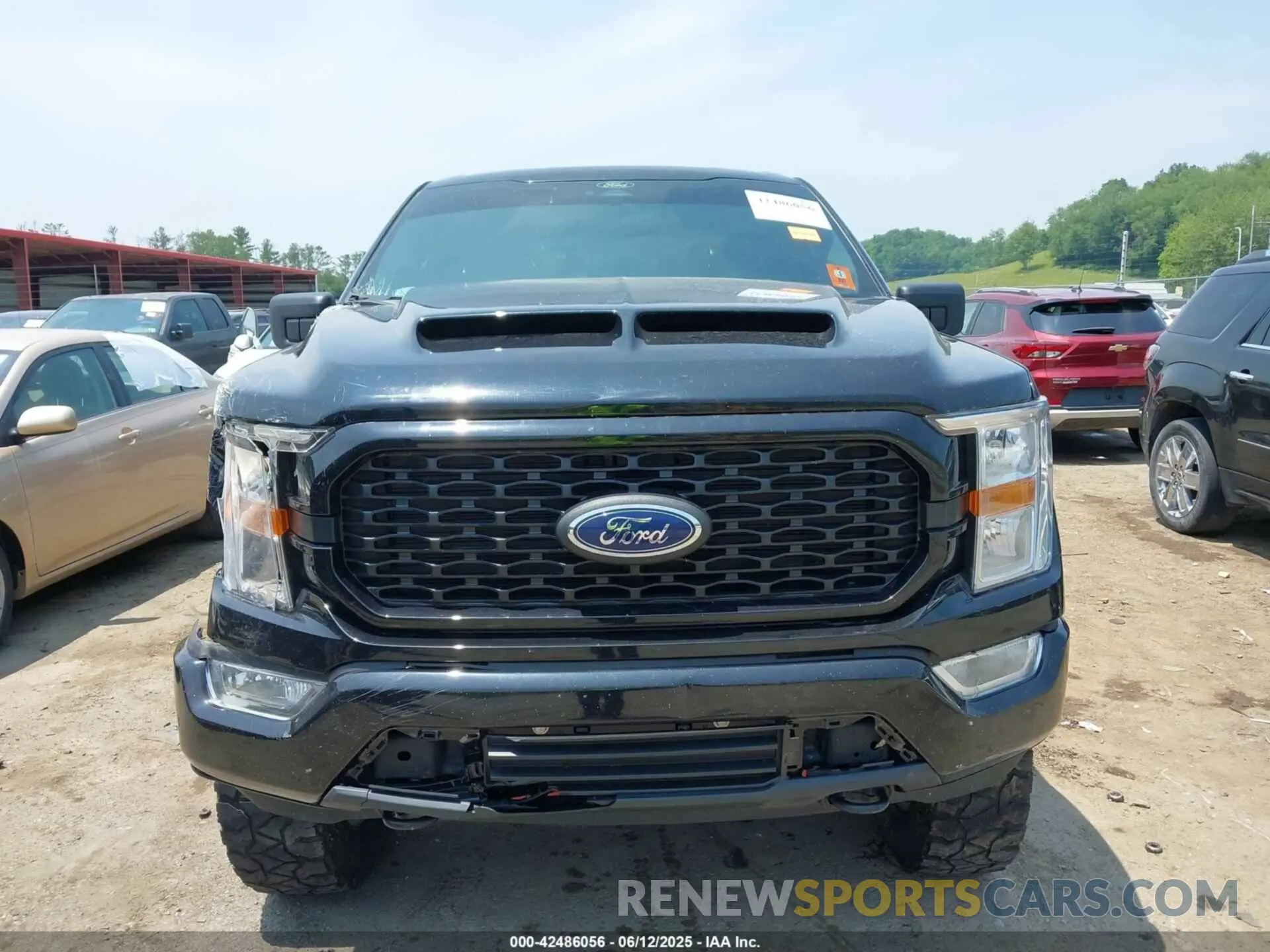 12 Photograph of a damaged car 1FTFW1E51NKF19024 FORD F-150 2022