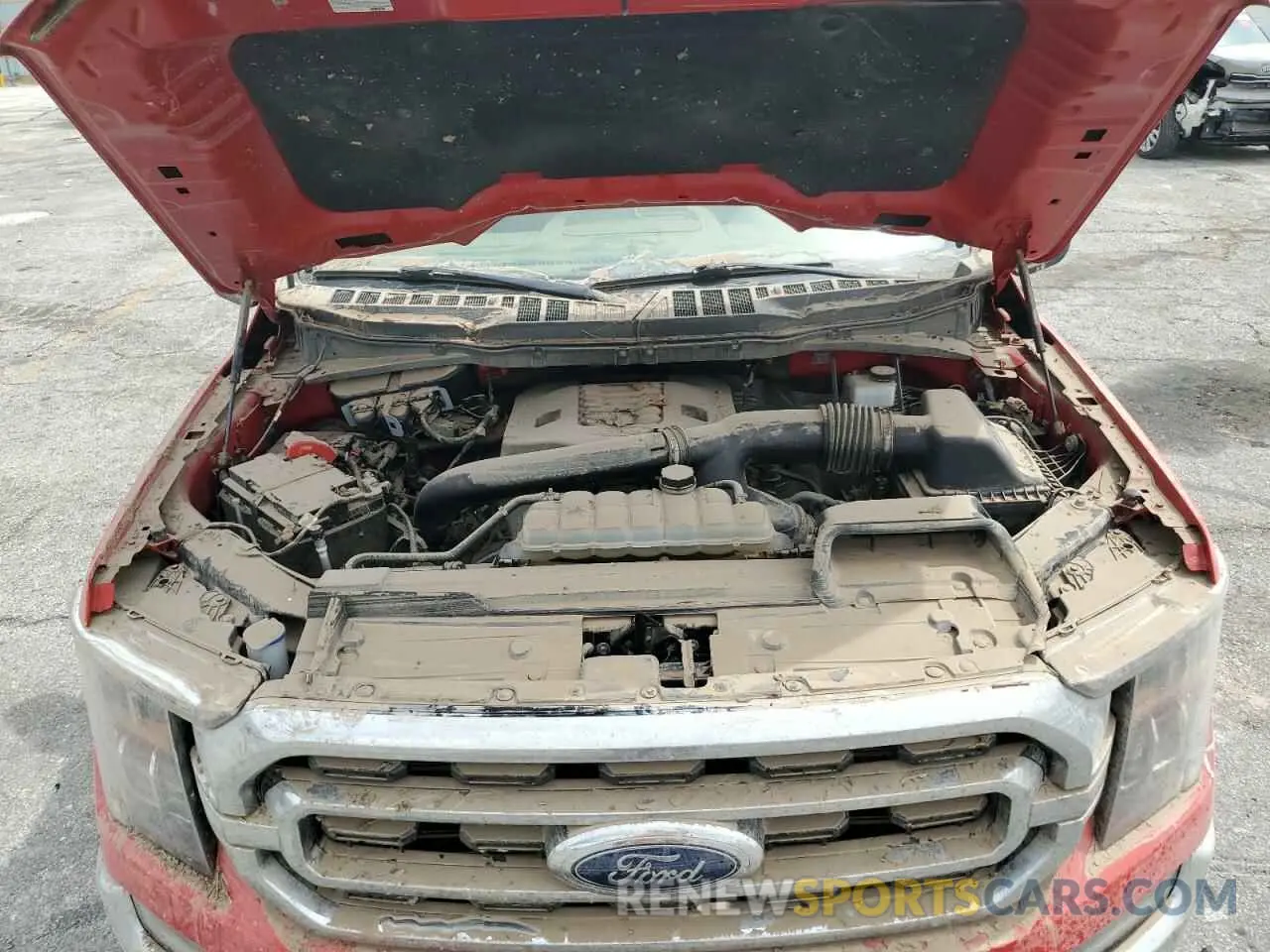 11 Photograph of a damaged car 1FTFW1E80NKD39611 FORD F-150 2022