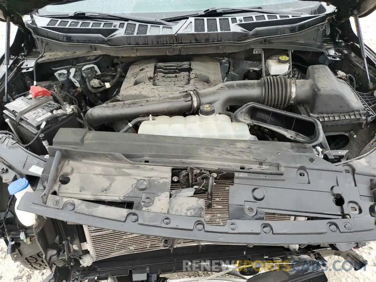 11 Photograph of a damaged car 1FTFW1E87NKD20974 FORD F-150 2022