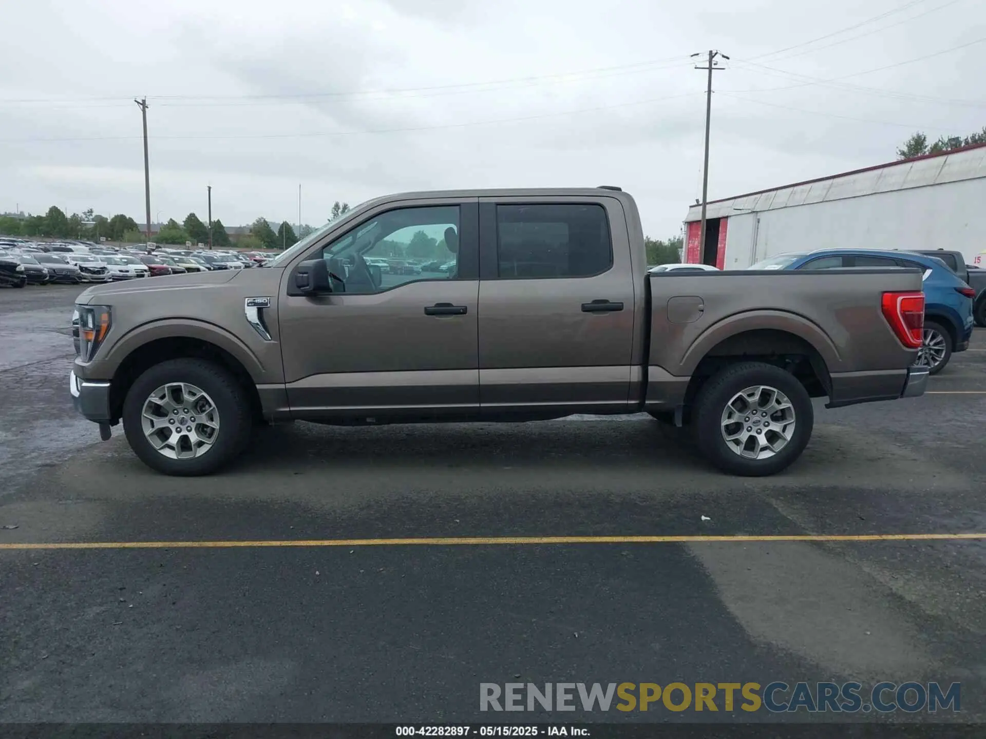 14 Фотография поврежденного автомобиля 1FTEW1C51PFB46321 FORD F-150 2023