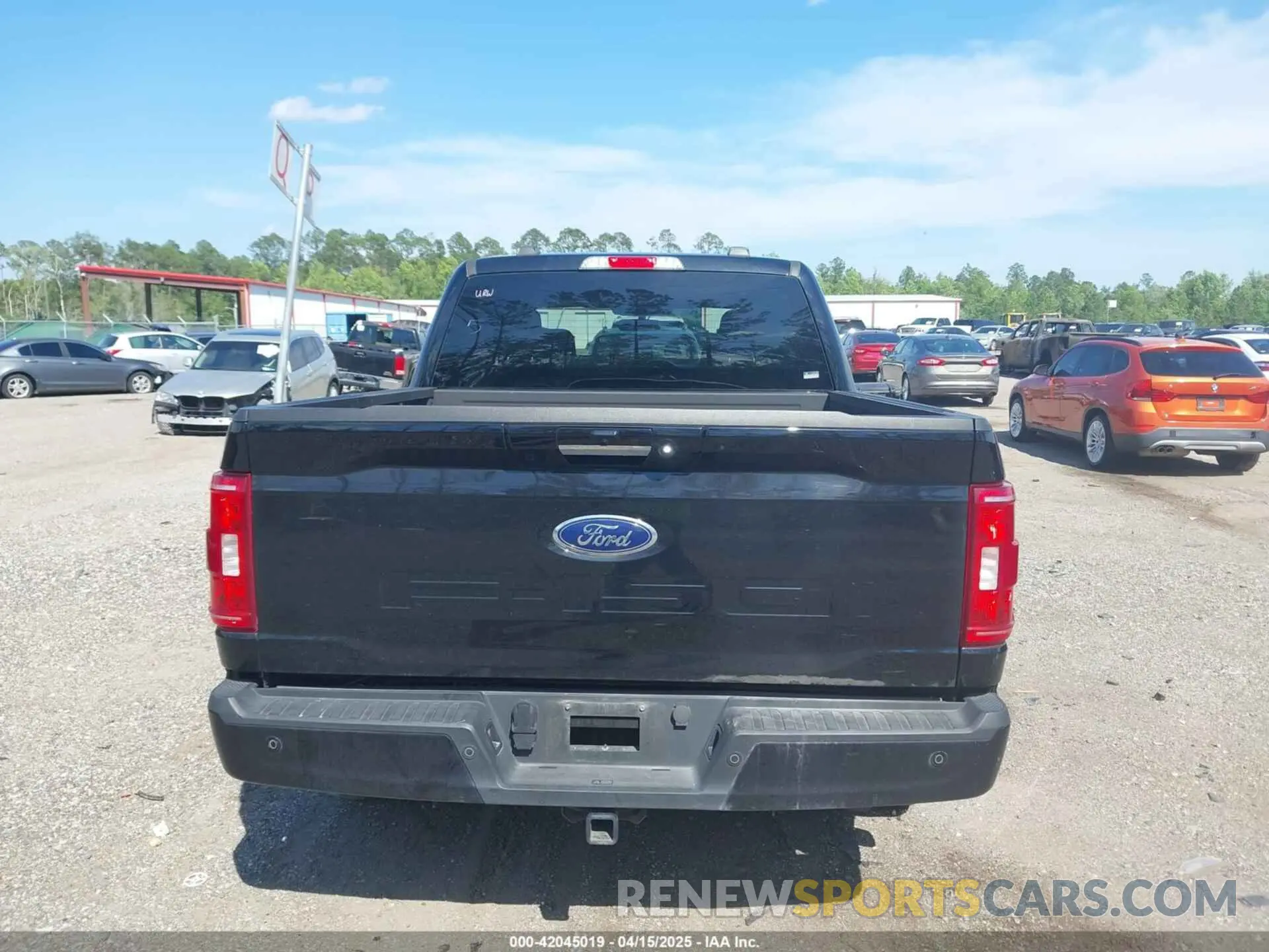 16 Фотография поврежденного автомобиля 1FTEW1C54PFB84125 FORD F-150 2023