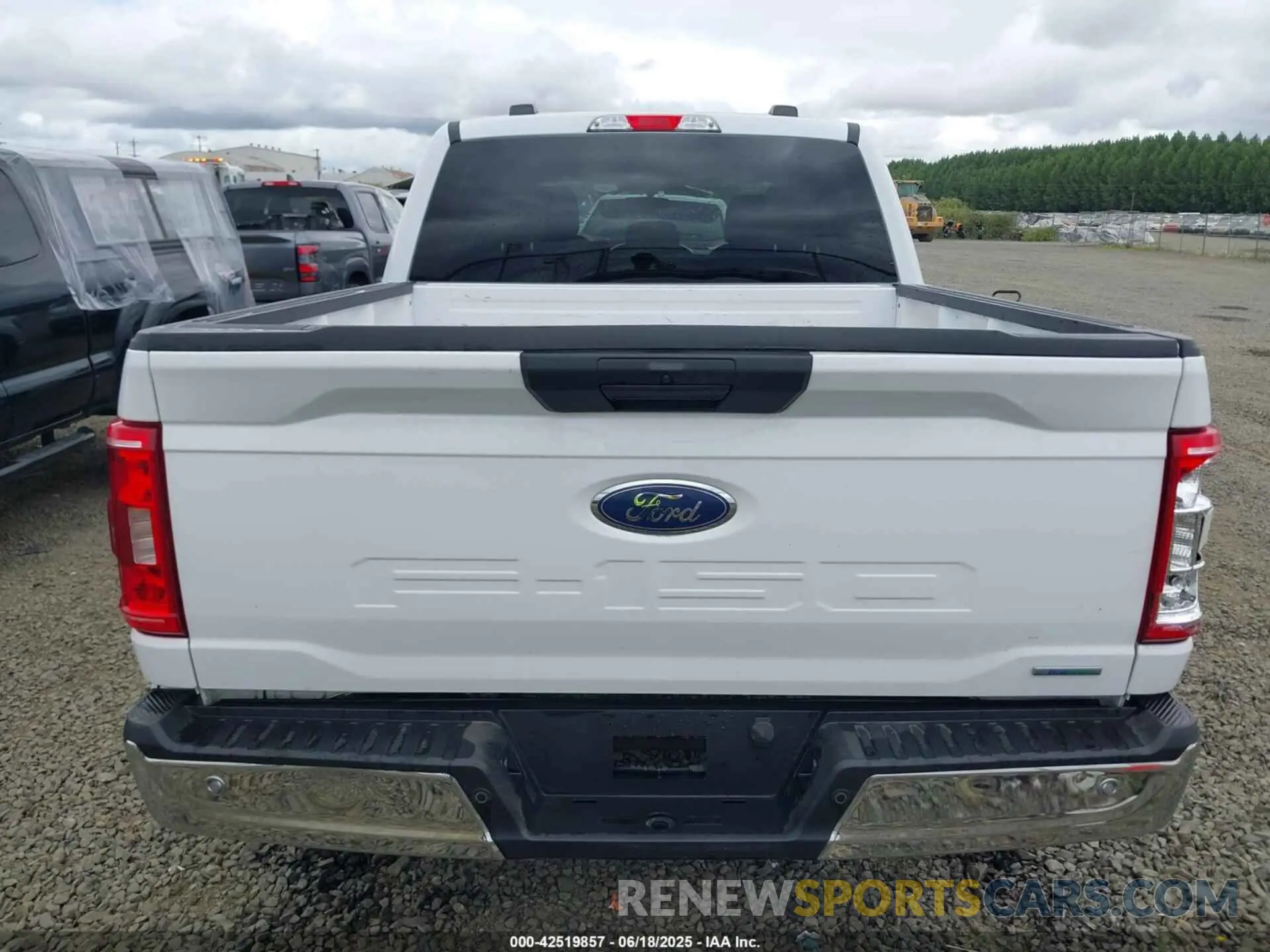 16 Photograph of a damaged car 1FTEW1C89PKD35641 FORD F-150 2023