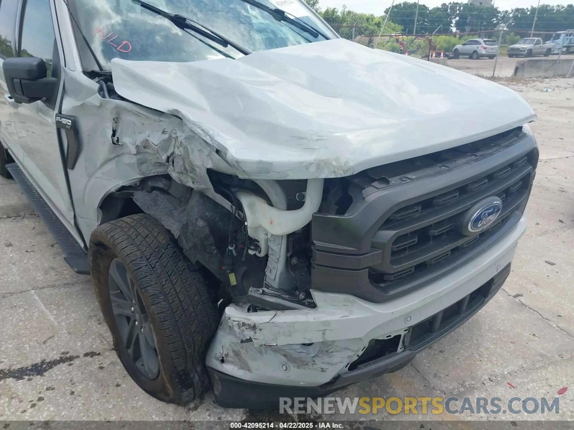 19 Photograph of a damaged car 1FTEW1CP7PFC15644 FORD F-150 2023