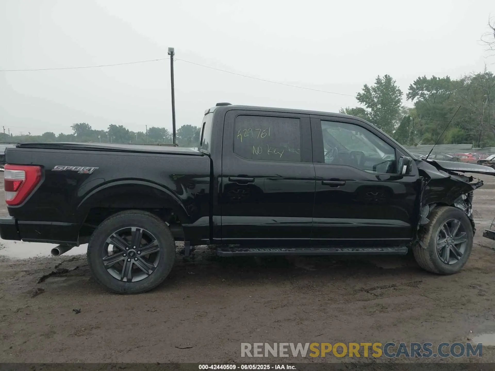 12 Photograph of a damaged car 1FTFW1E51PFA29761 FORD F-150 2023