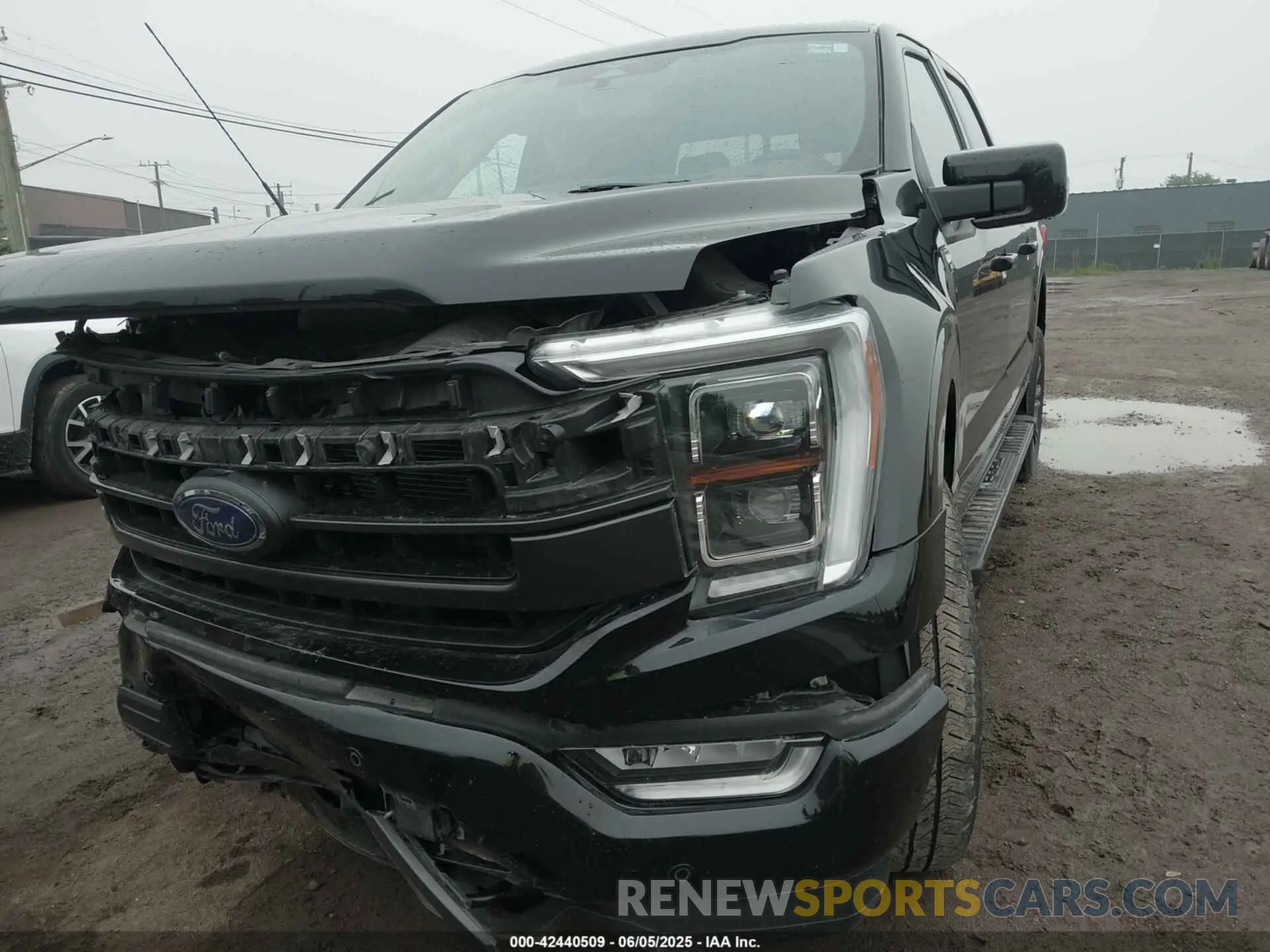 17 Photograph of a damaged car 1FTFW1E51PFA29761 FORD F-150 2023