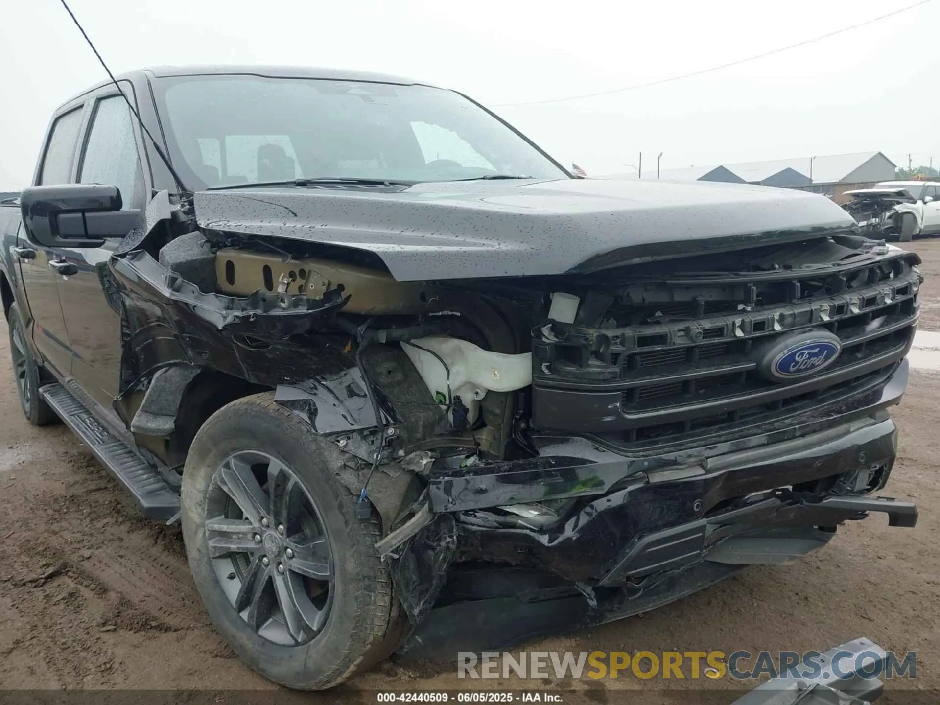 6 Photograph of a damaged car 1FTFW1E51PFA29761 FORD F-150 2023