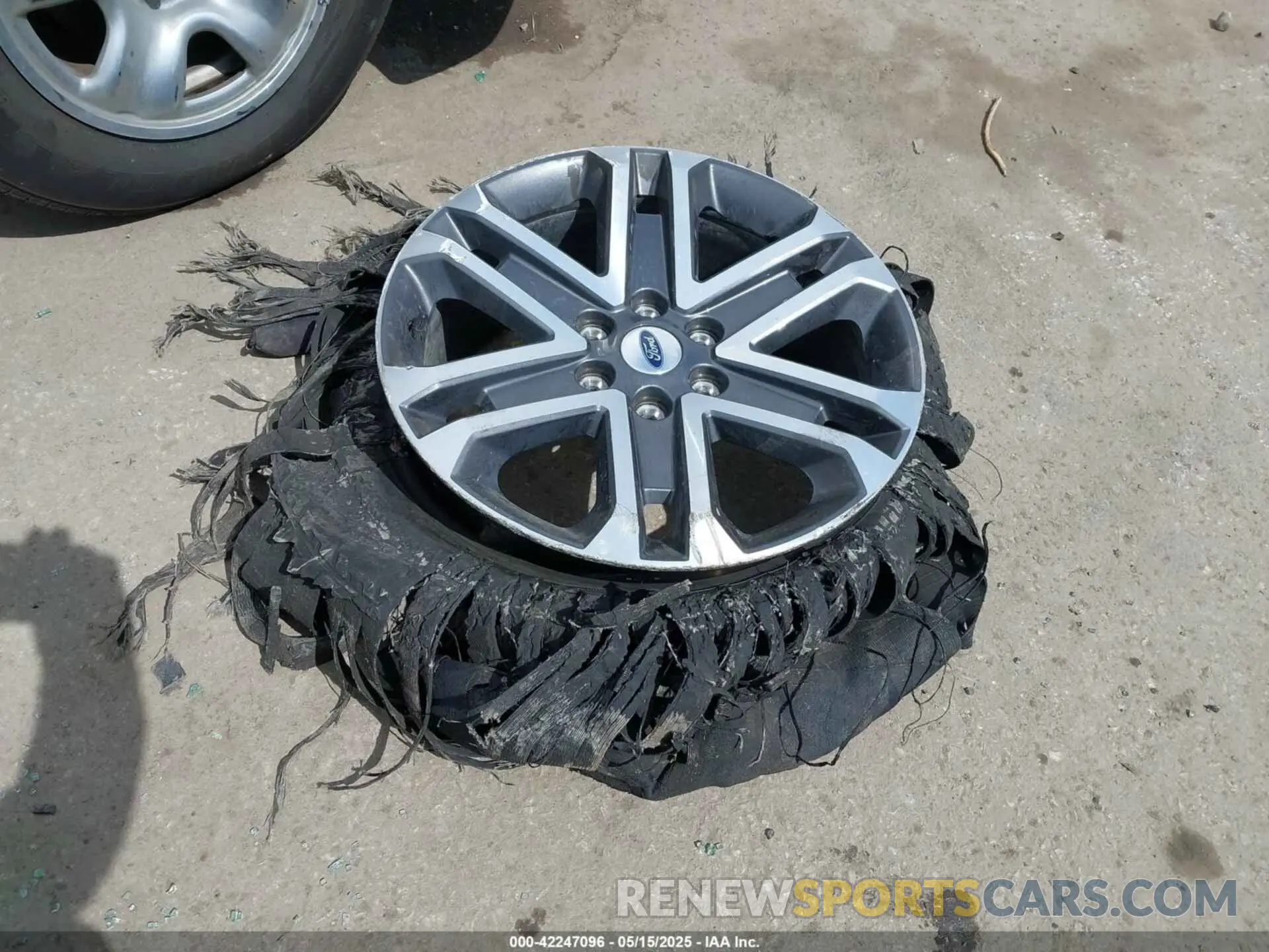 12 Photograph of a damaged car 1FTFW1E54PFC37083 FORD F-150 2023