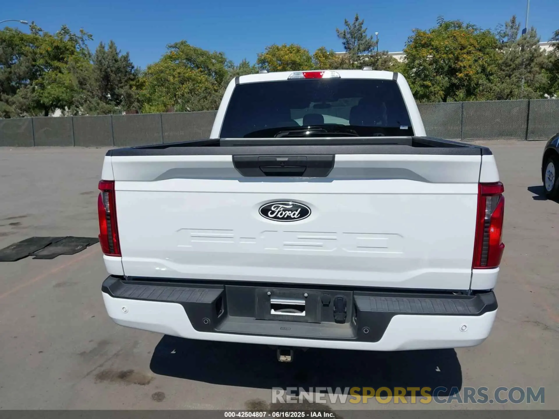 17 Фотография поврежденного автомобиля 1FTEW2LP9RKE56279 FORD F-150 2024