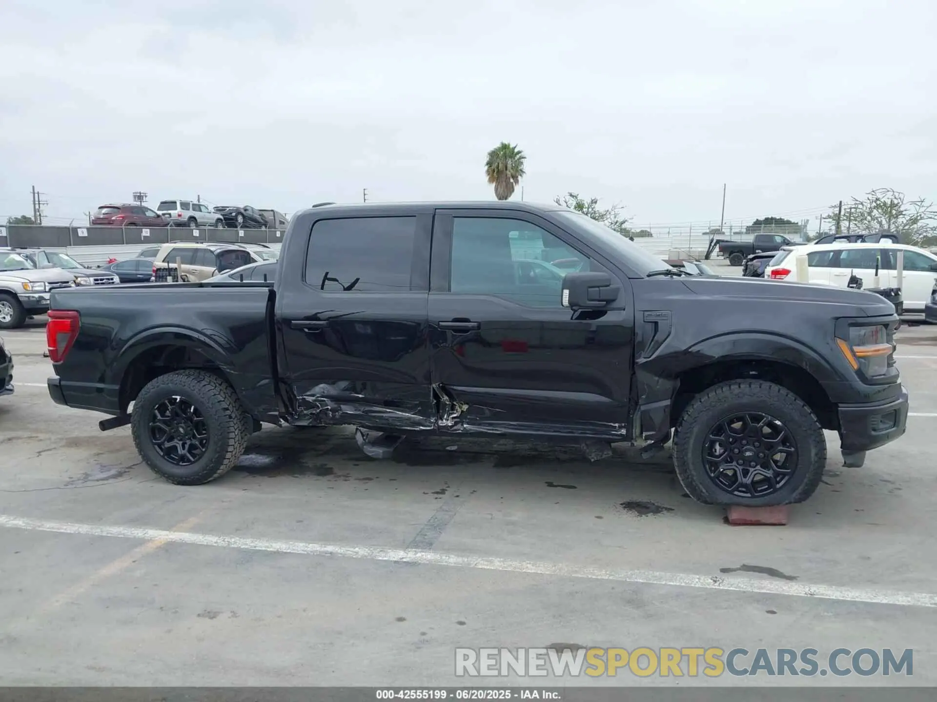 13 Фотография поврежденного автомобиля 1FTEW3KP3RKE73943 FORD F-150 2024
