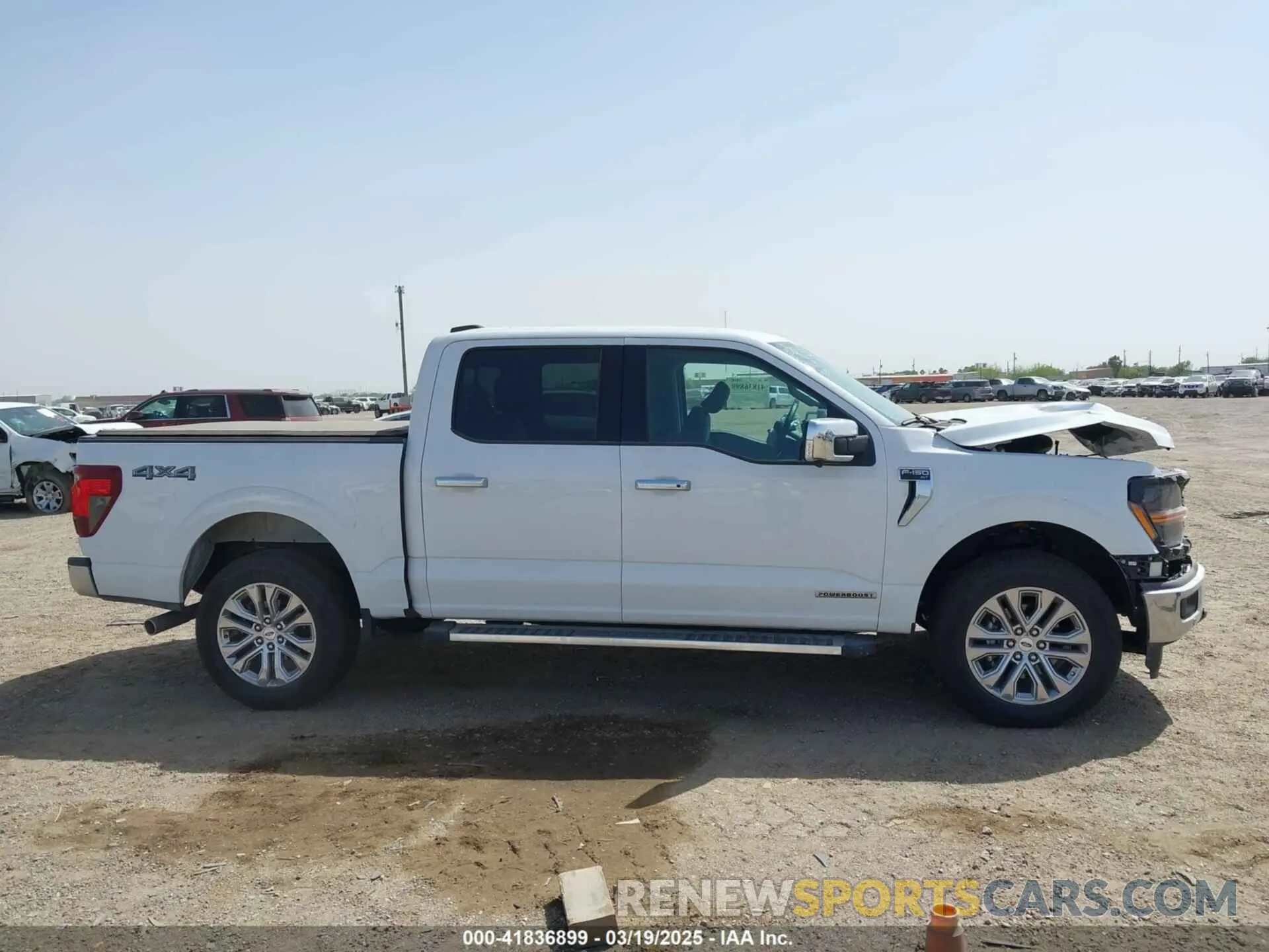 12 Photograph of a damaged car 1FTFW3LD2RFB44300 FORD F-150 2024