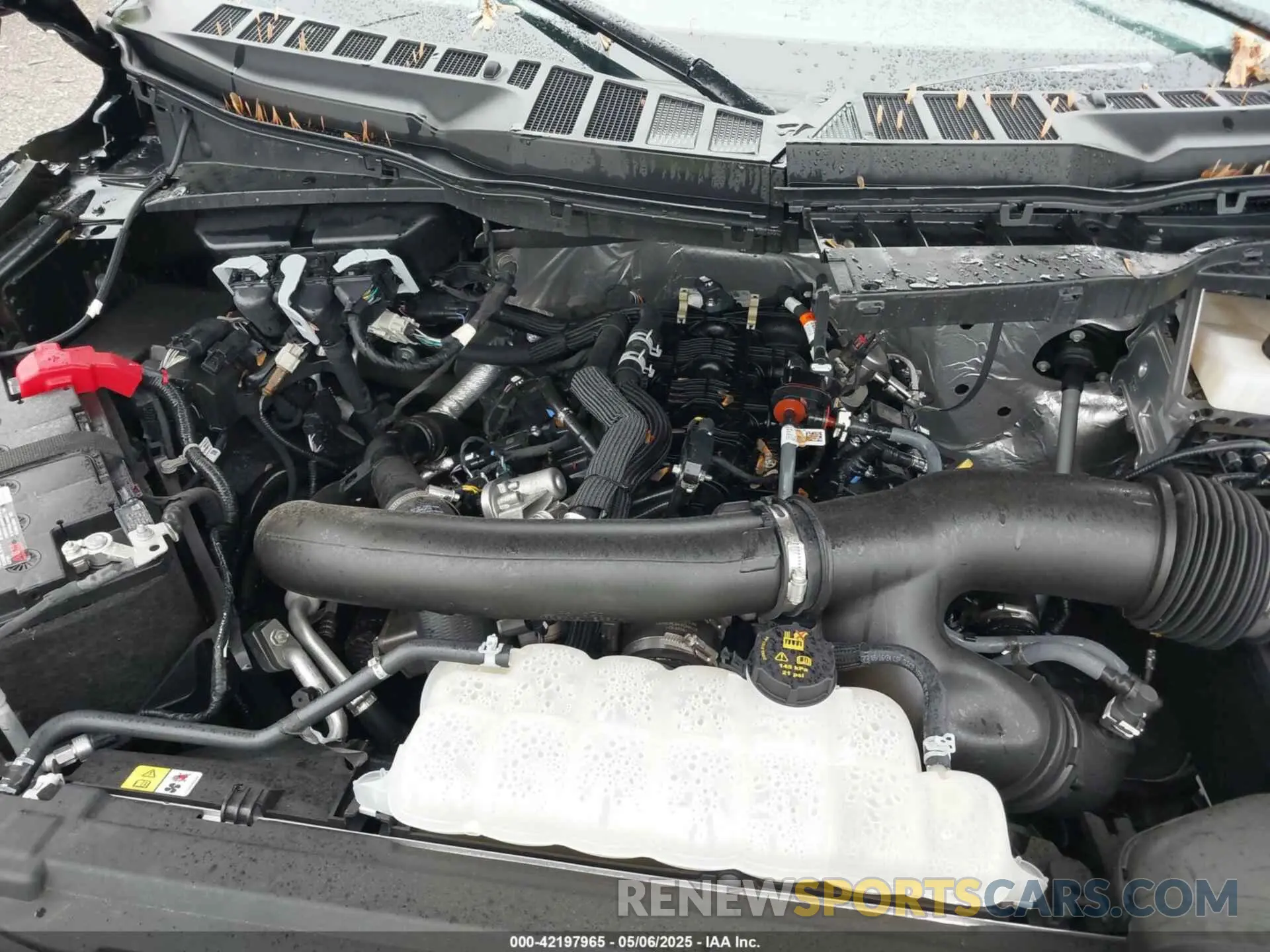 10 Фотография поврежденного автомобиля 1FTFW5L85RFB90881 FORD F-150 2024