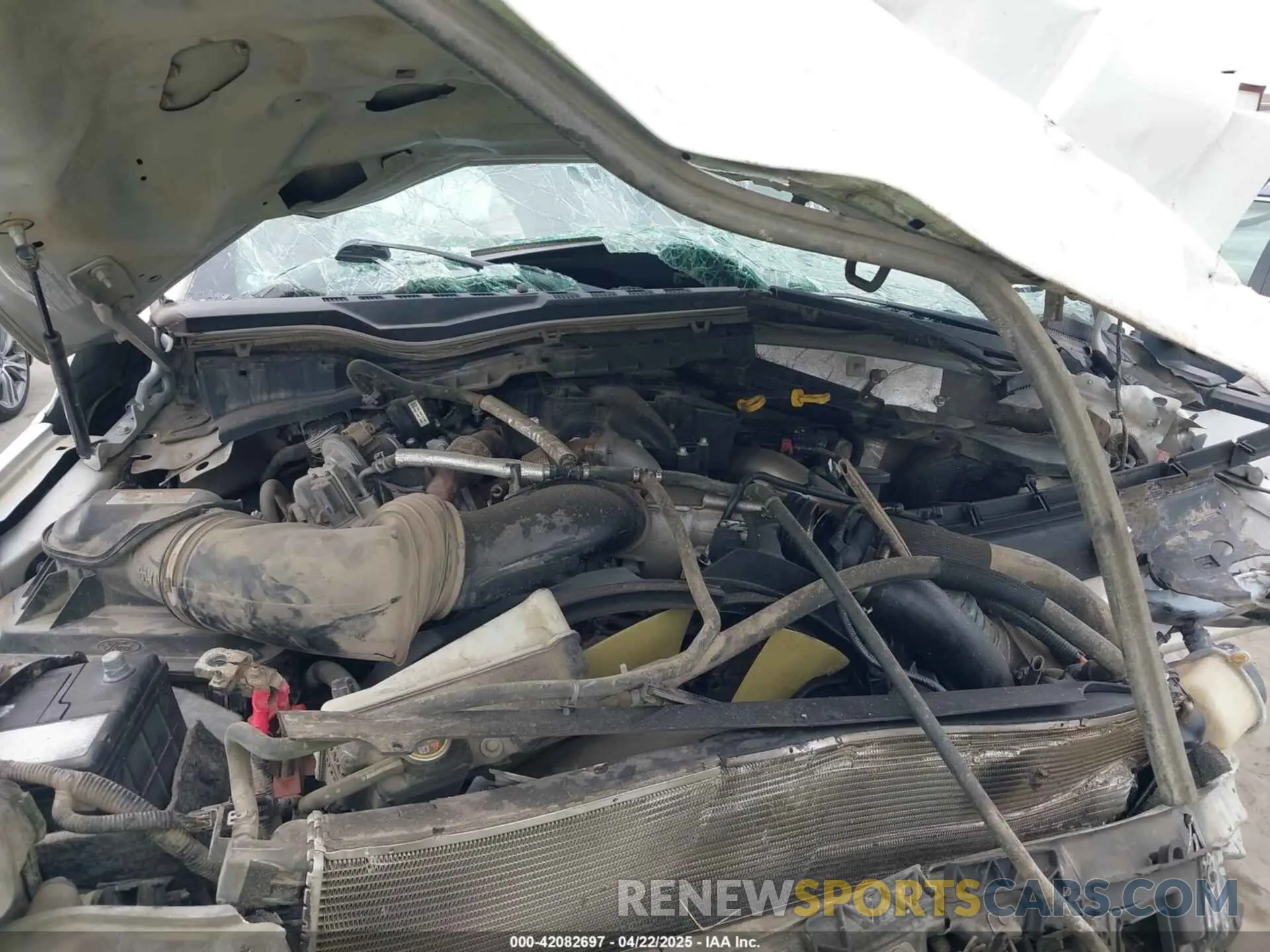 10 Photograph of a damaged car 1FT7W2BT4KEF15878 FORD F-250 2019