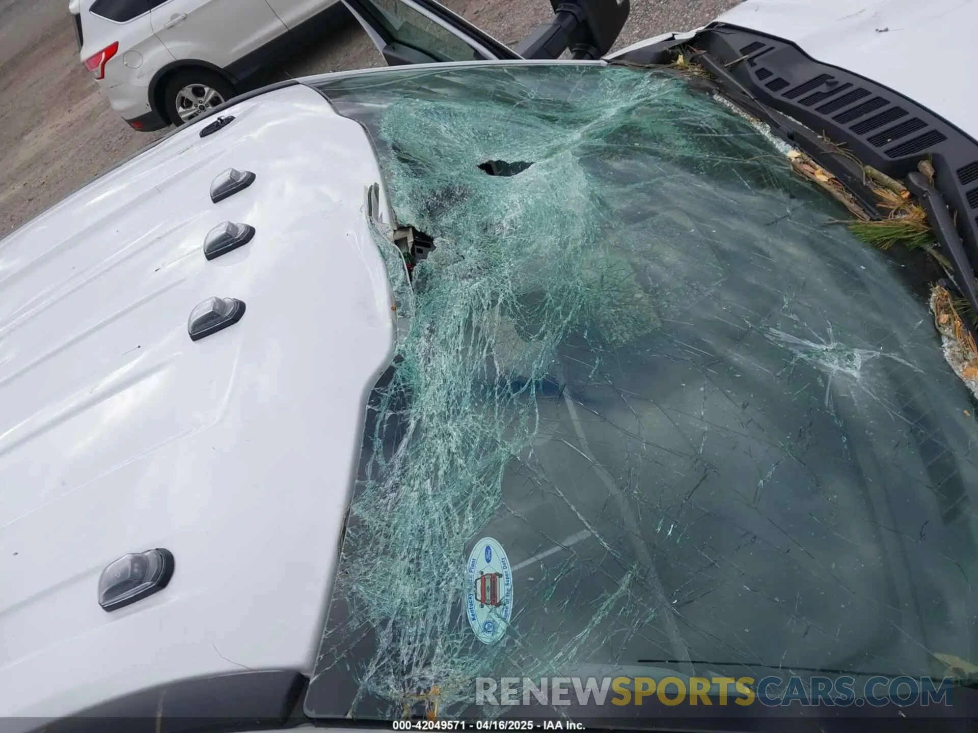 20 Photograph of a damaged car 1FT7X2BN5RED47418 FORD F-250 2024