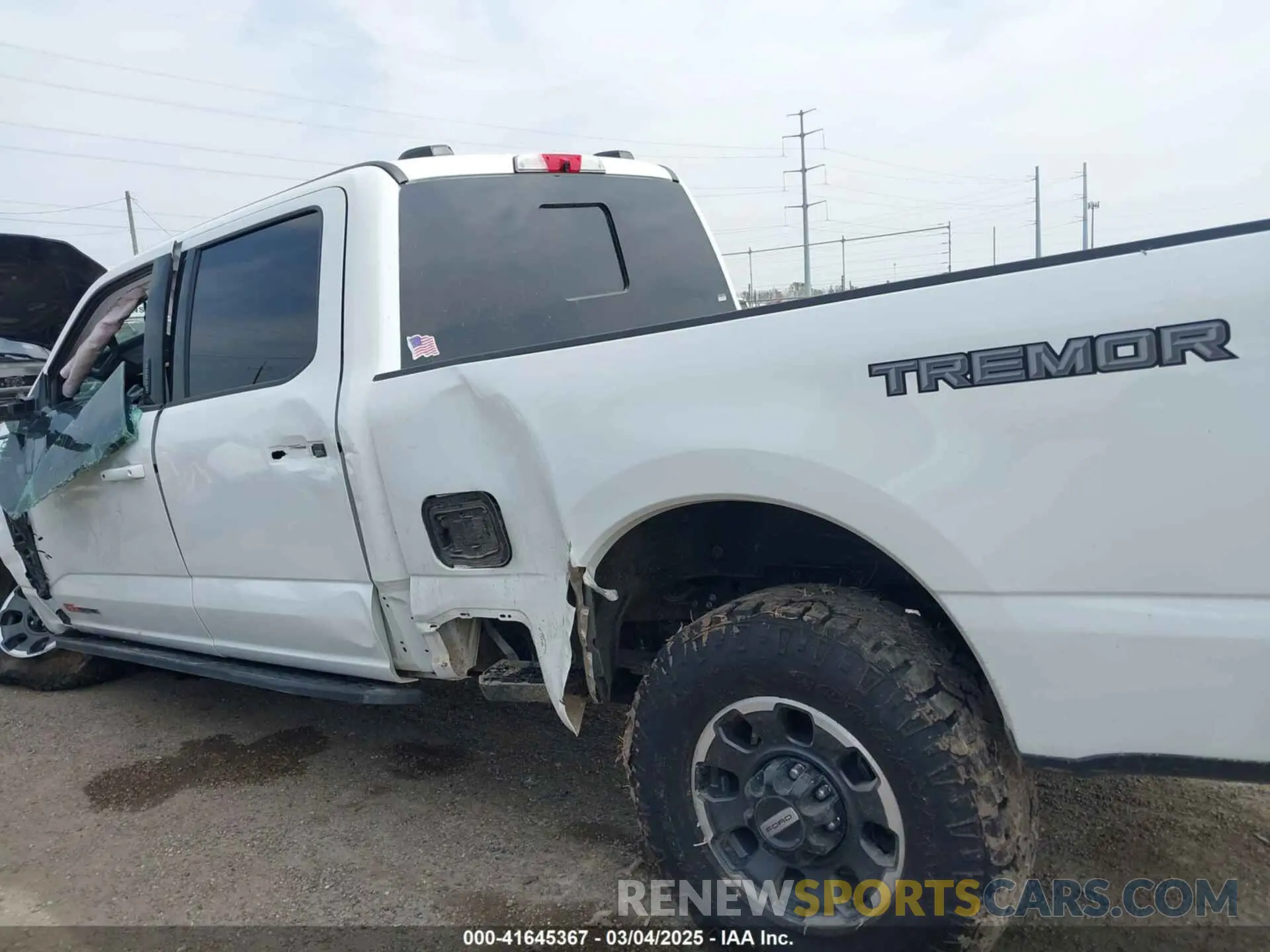 15 Фотография поврежденного автомобиля 1FT8W2BM5REE18258 FORD F-250 2024