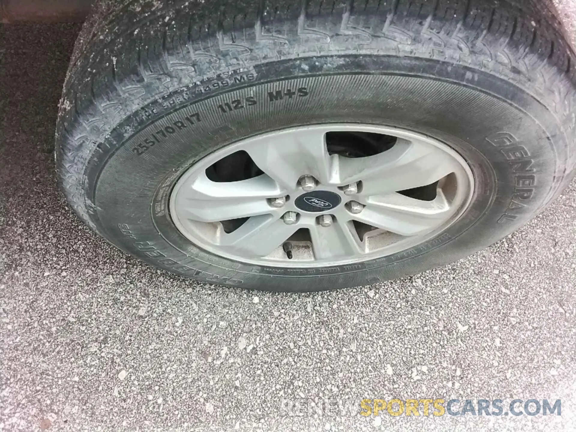 15 Photograph of a damaged car 1FTEW1E50KKC27405 FORD F150 2019