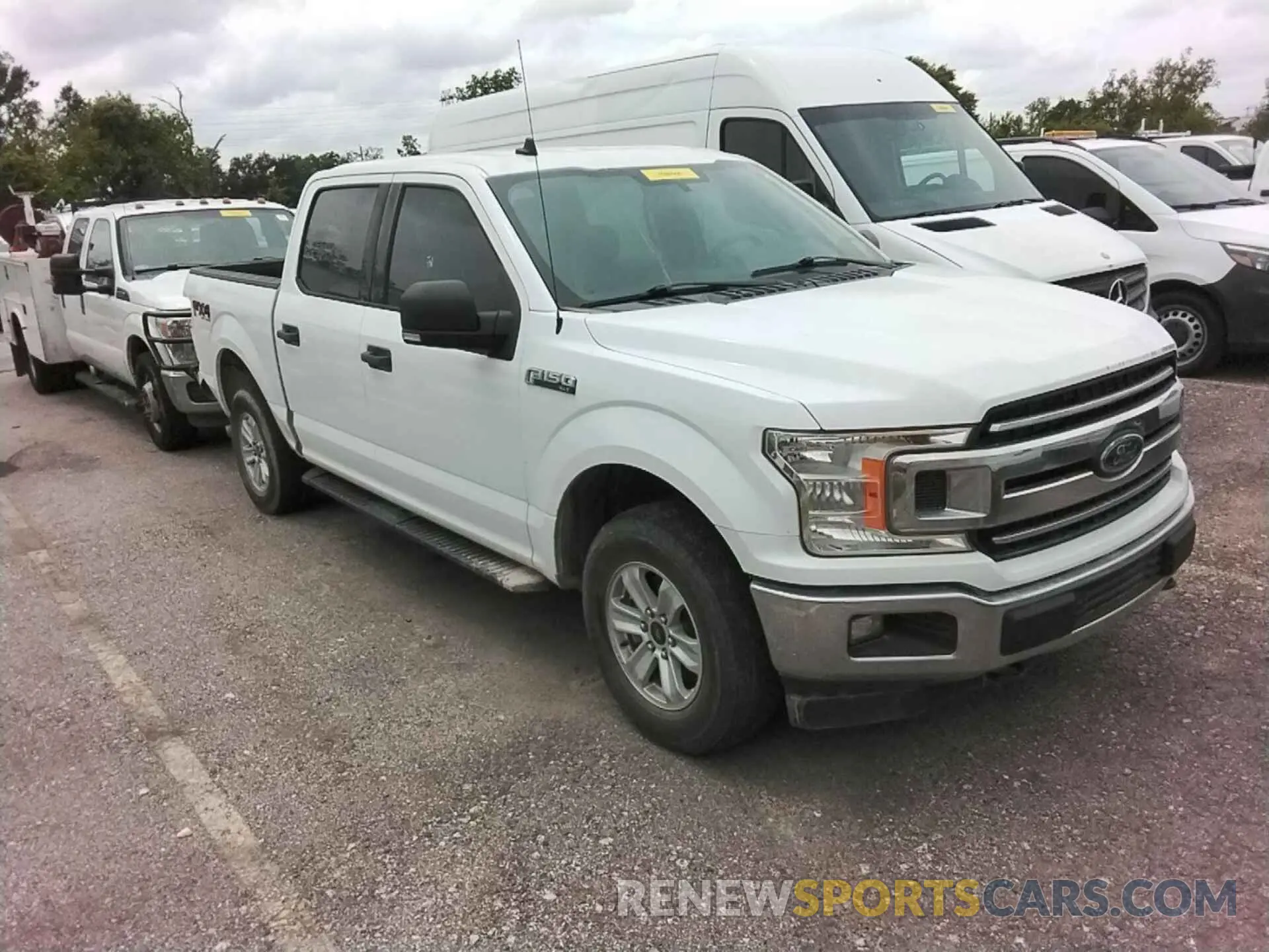 24 Photograph of a damaged car 1FTEW1E50KKC27405 FORD F150 2019