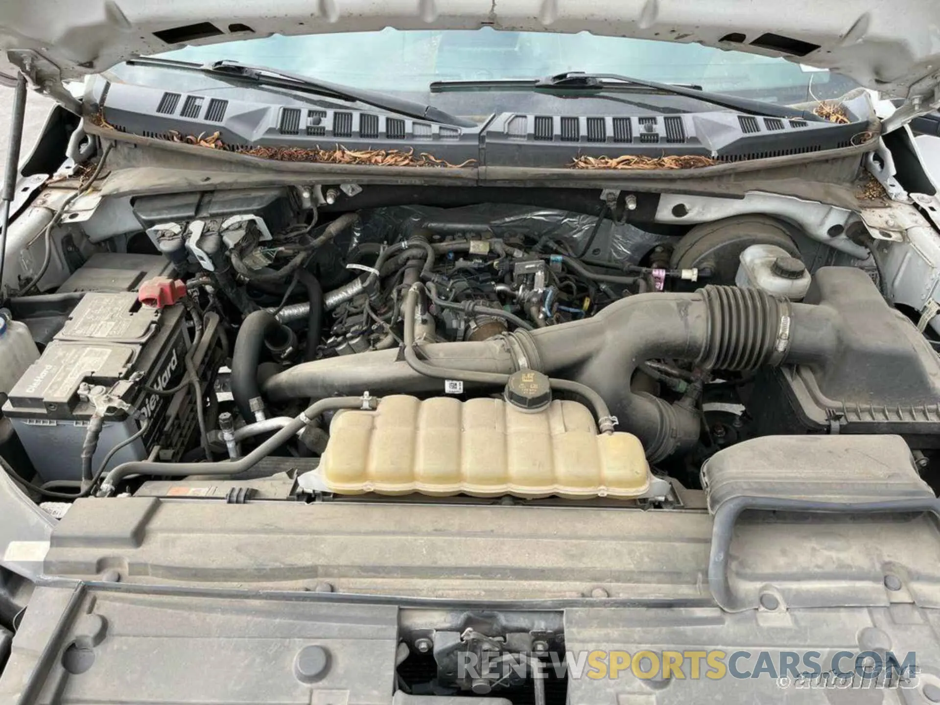 3 Photograph of a damaged car 1FTEX1CP9KKD65381 FORD F150 2019