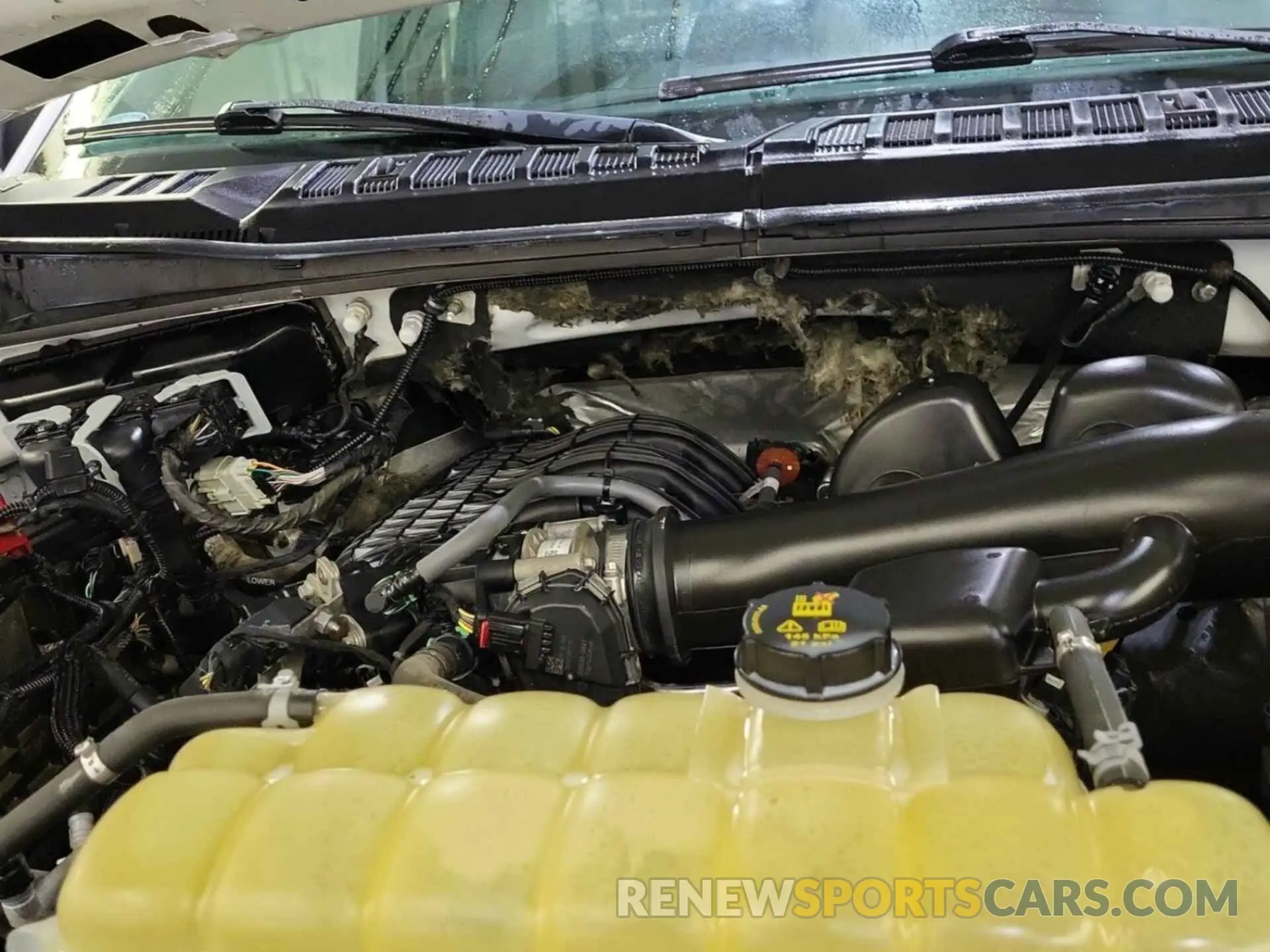20 Фотография поврежденного автомобиля 1FTEX1EB7KKD84996 FORD F150 2019