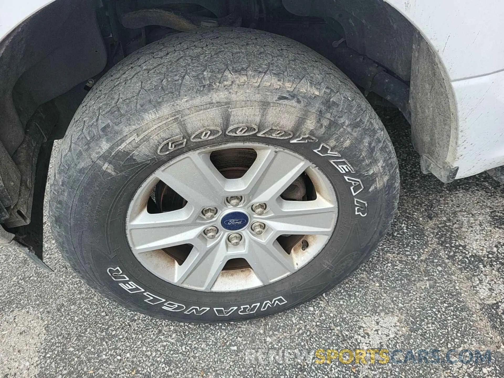 24 Photograph of a damaged car 1FTFX1E41KKE10532 FORD F150 2019