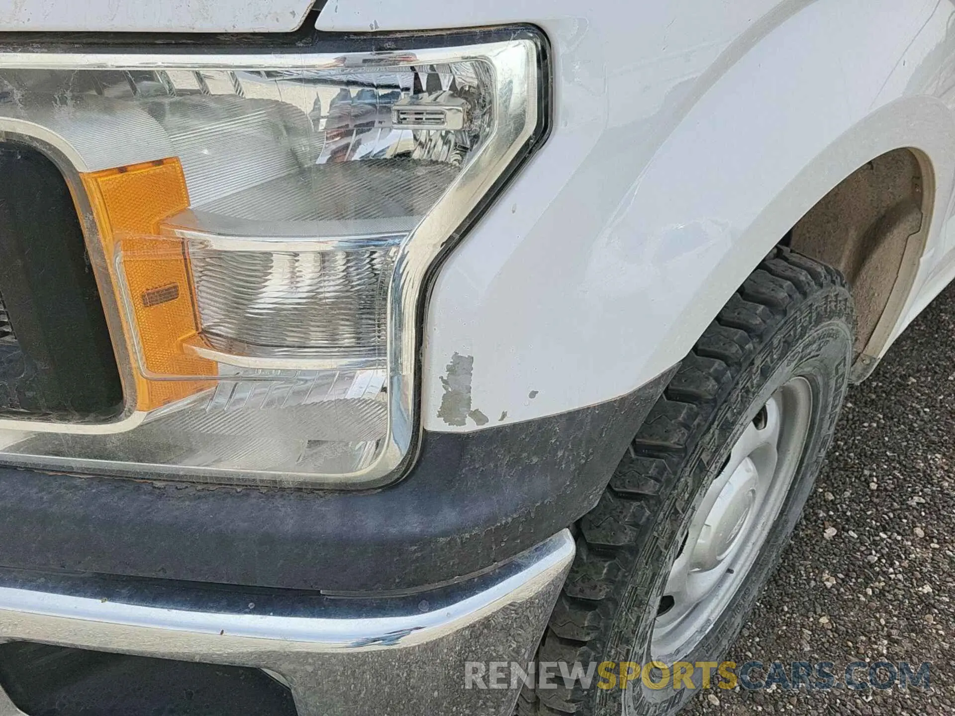 2 Фотография поврежденного автомобиля 1FTFX1E59KKC91606 FORD F150 2019