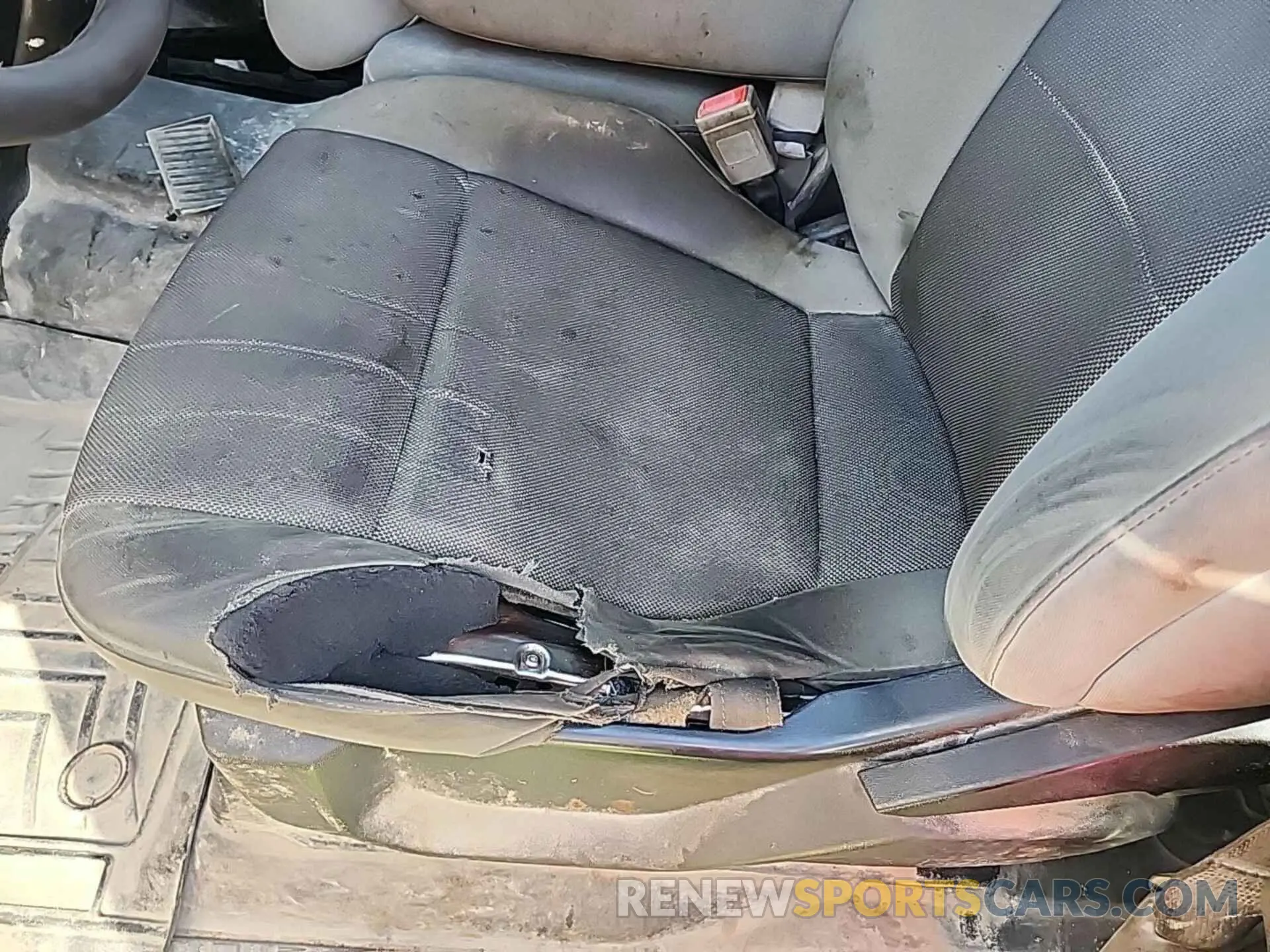 19 Photograph of a damaged car 1FTFX1E5XKKD84568 FORD F150 2019