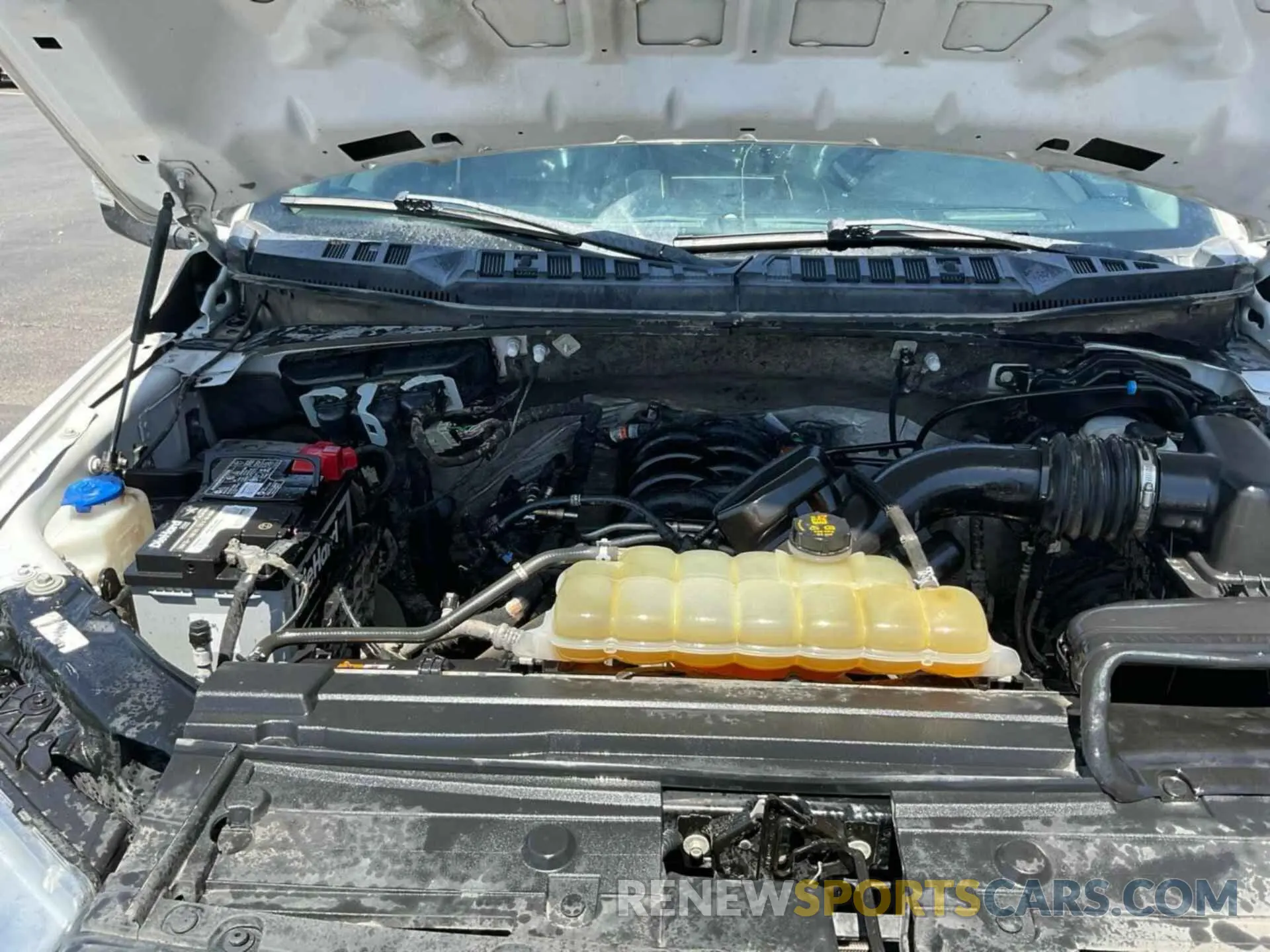 22 Фотография поврежденного автомобиля 1FTEW1E52LFA28138 FORD F150 2020