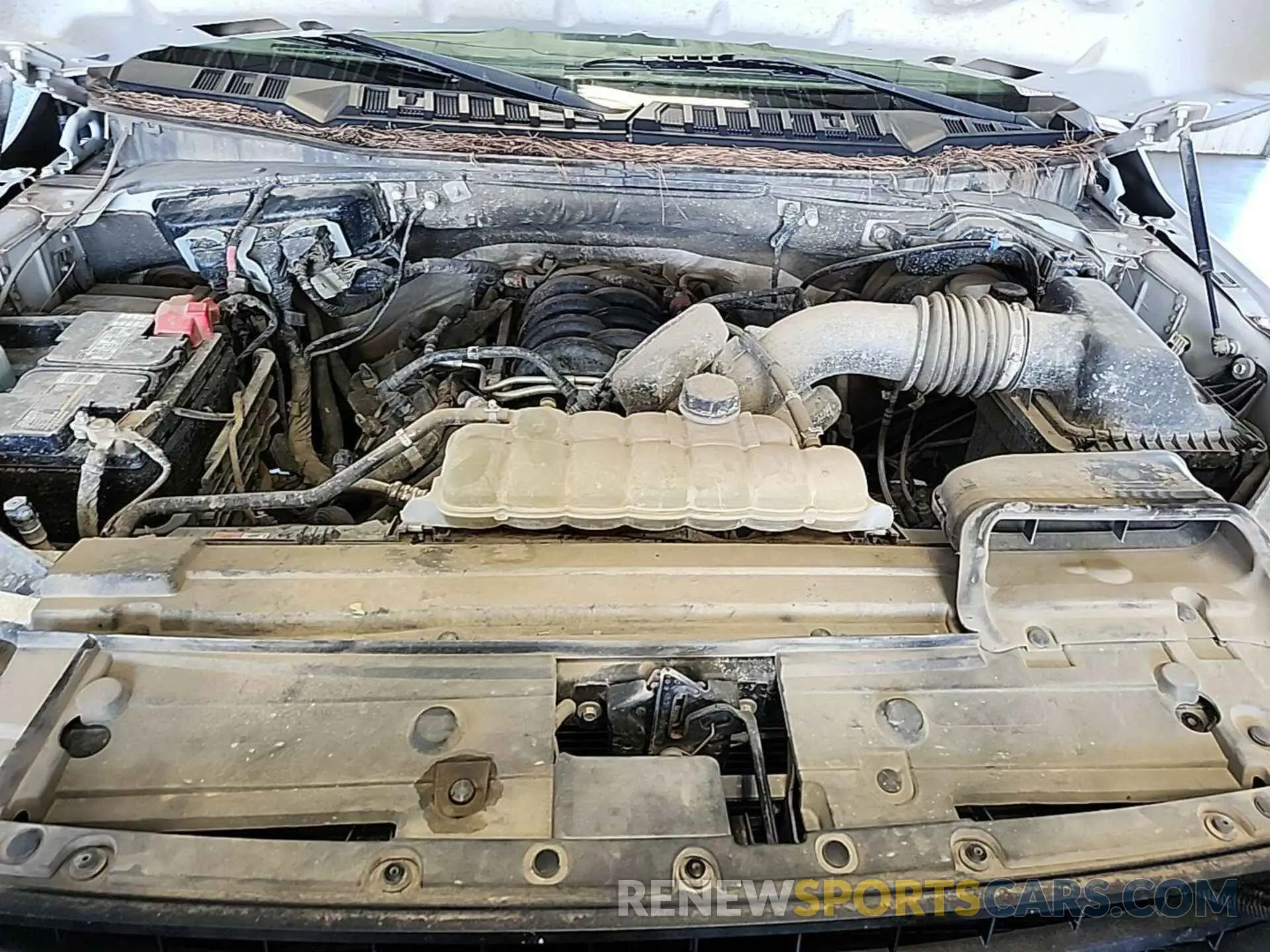 5 Фотография поврежденного автомобиля 1FTFW1E54LKD31627 FORD F150 2020