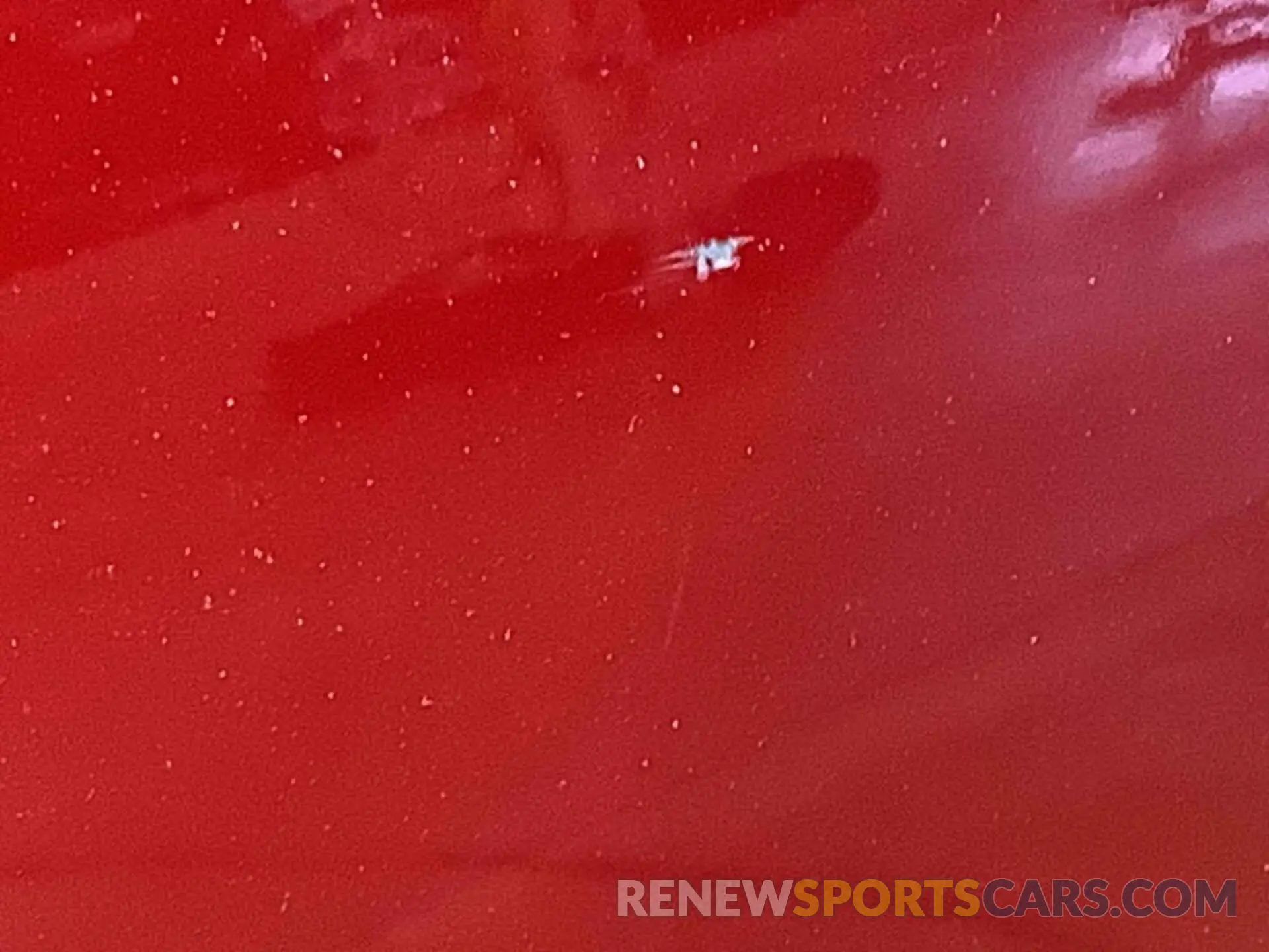 1 Photograph of a damaged car 1FTEW1C80MKD70757 FORD F150 2021
