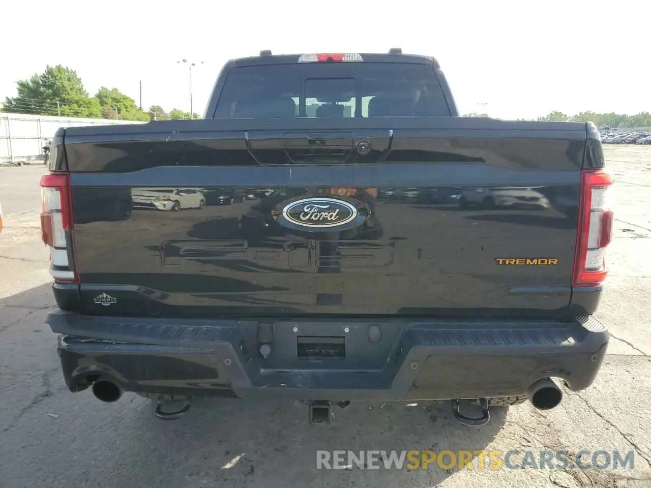 6 Photograph of a damaged car 1FTEW1E8XNFA82395 FORD F150 2022