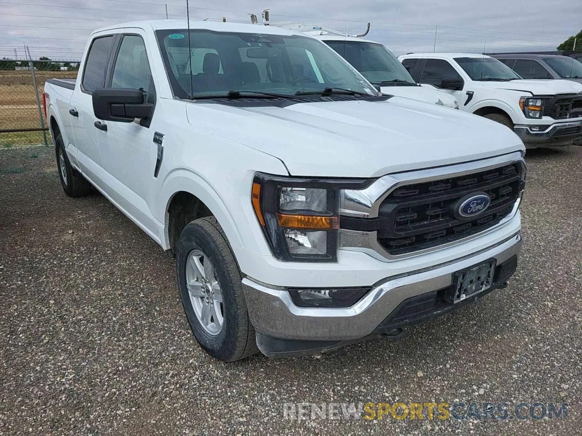 14 Фотография поврежденного автомобиля 1FTFW1E86PFB56516 FORD F150 2023