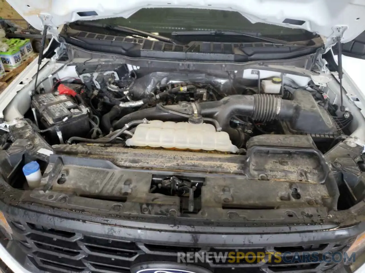 11 Photograph of a damaged car 1FTEW1LP2RKD17038 FORD F150 2024
