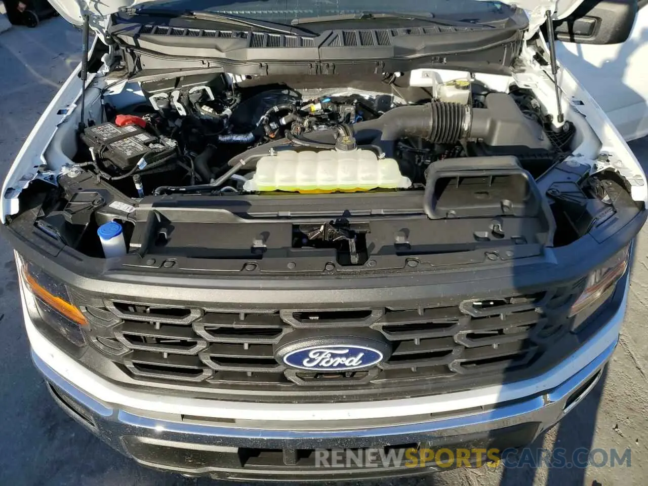 12 Фотография поврежденного автомобиля 1FTEW1LP6RKE37988 FORD F150 2024