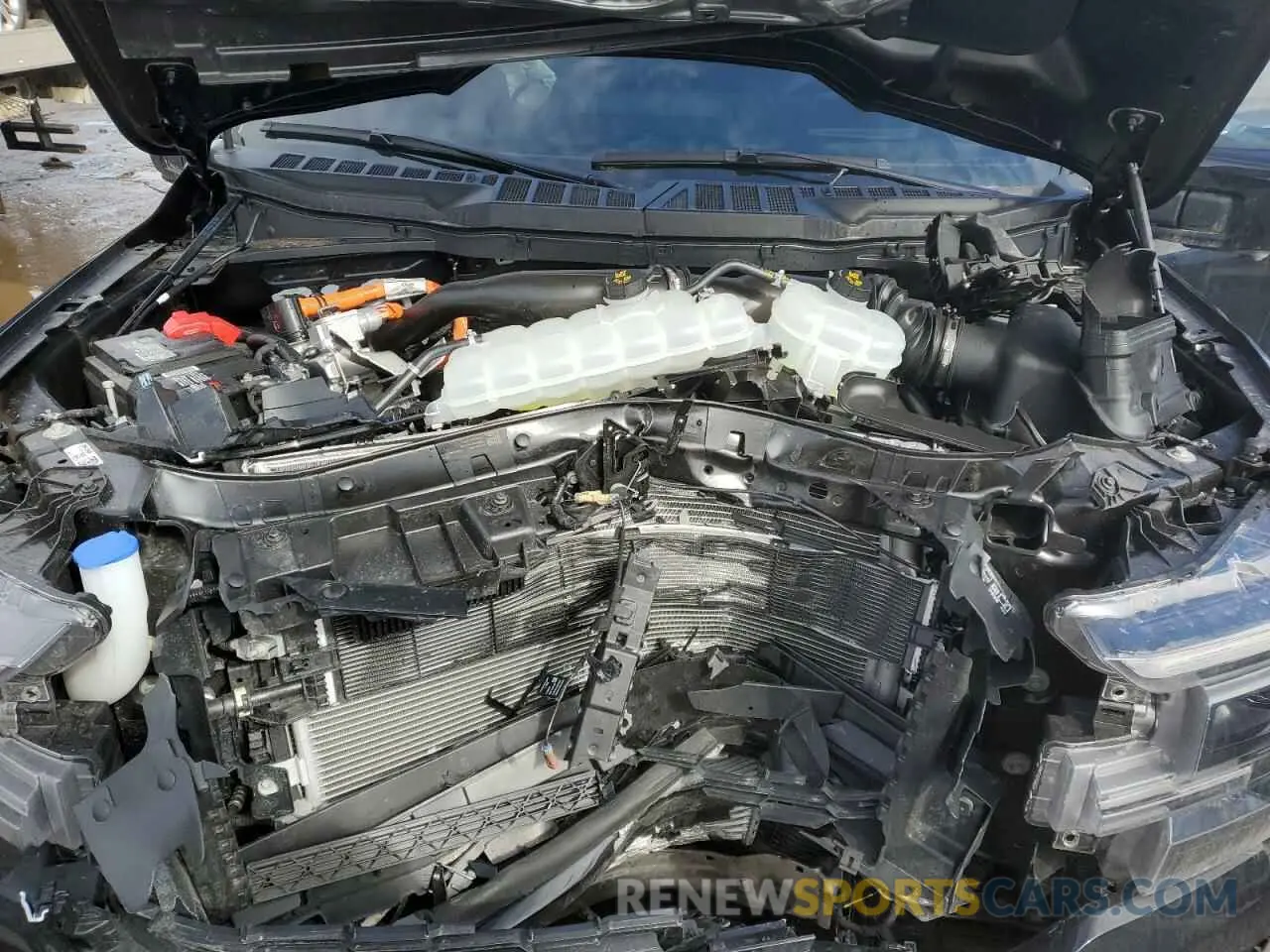 11 Photograph of a damaged car 1FTFW5LD0RFC14615 FORD F150 LARIA 2024