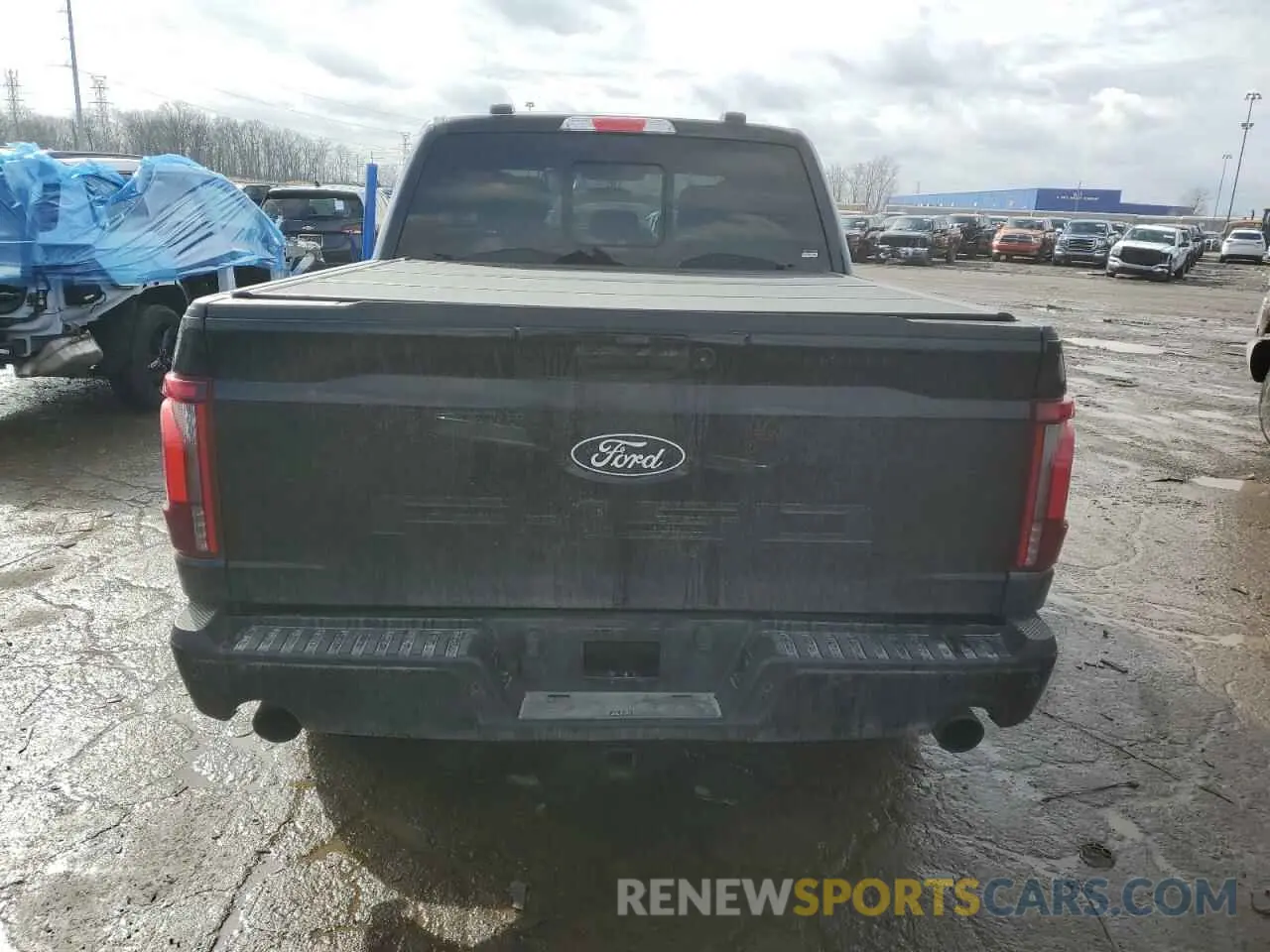 6 Photograph of a damaged car 1FTFW5LD0RFC14615 FORD F150 LARIA 2024
