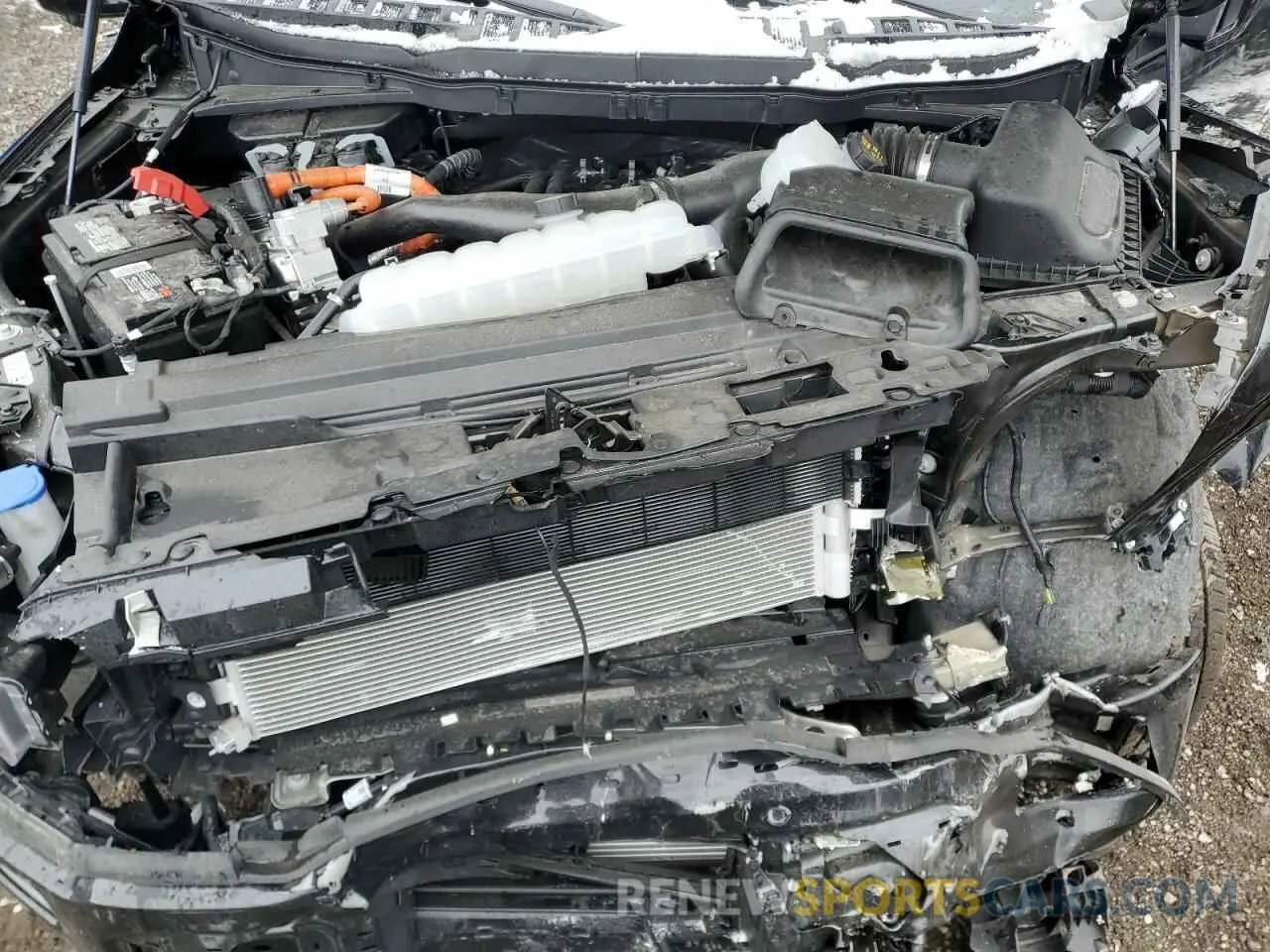 11 Photograph of a damaged car 1FTFW5LD1RFC02411 FORD F150 LARIA 2024