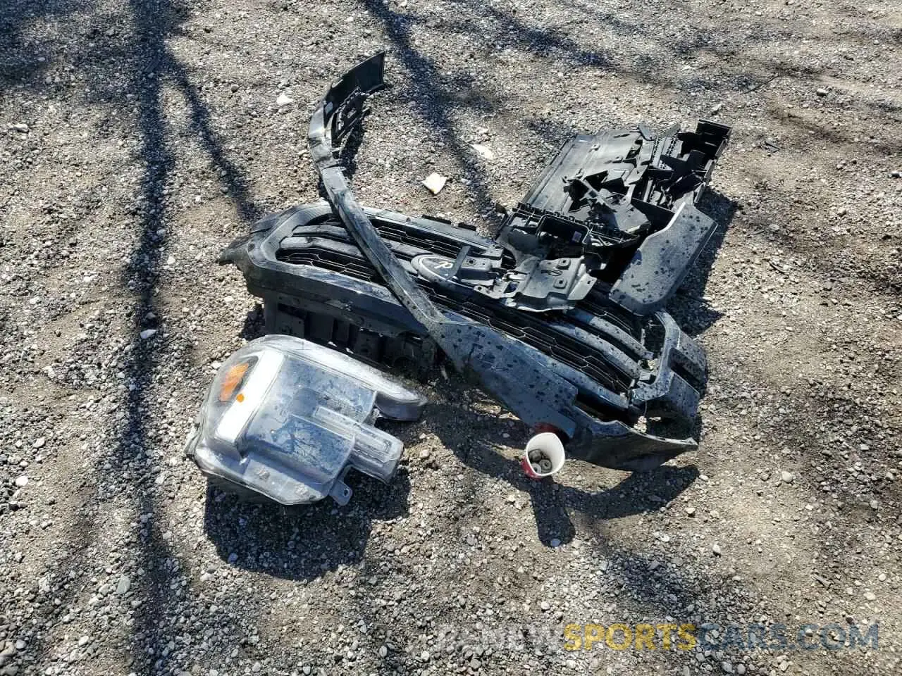 12 Photograph of a damaged car 1FTFW5LD6RFC16403 FORD F150 LARIA 2024