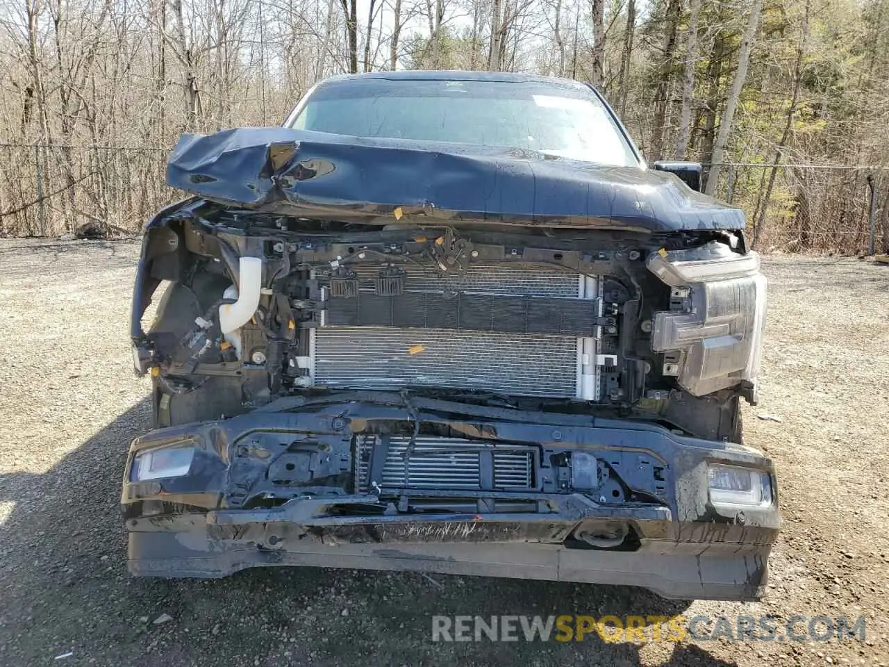 5 Photograph of a damaged car 1FTFW5LD6RFC16403 FORD F150 LARIA 2024