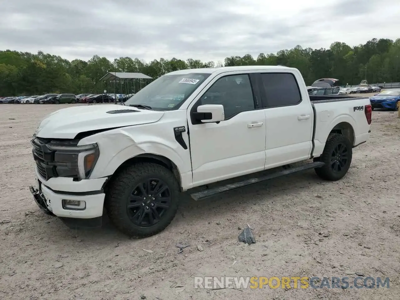 1 Photograph of a damaged car 1FTFW7L87RFB25445 FORD F150 PLATI 2024