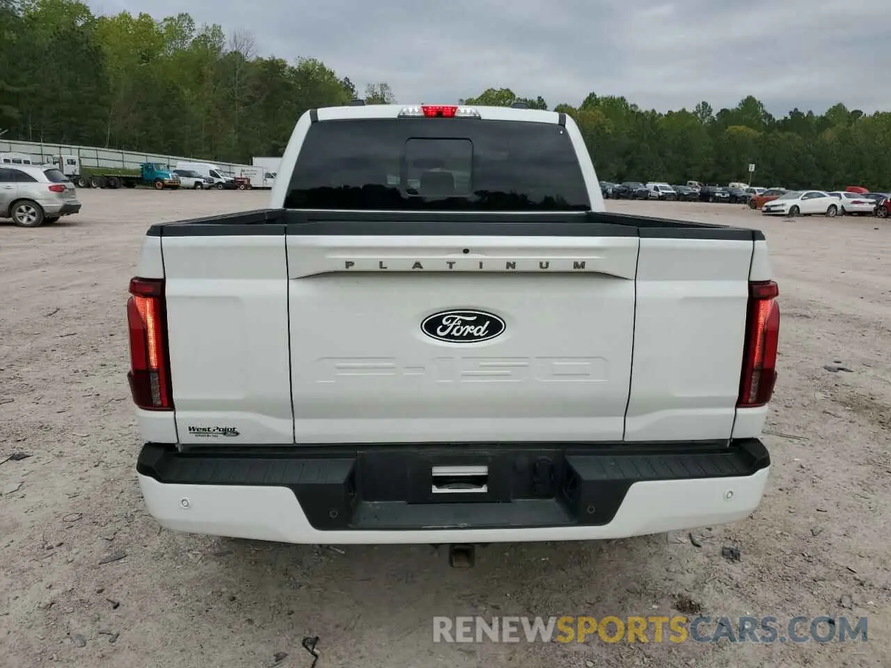6 Photograph of a damaged car 1FTFW7L87RFB25445 FORD F150 PLATI 2024