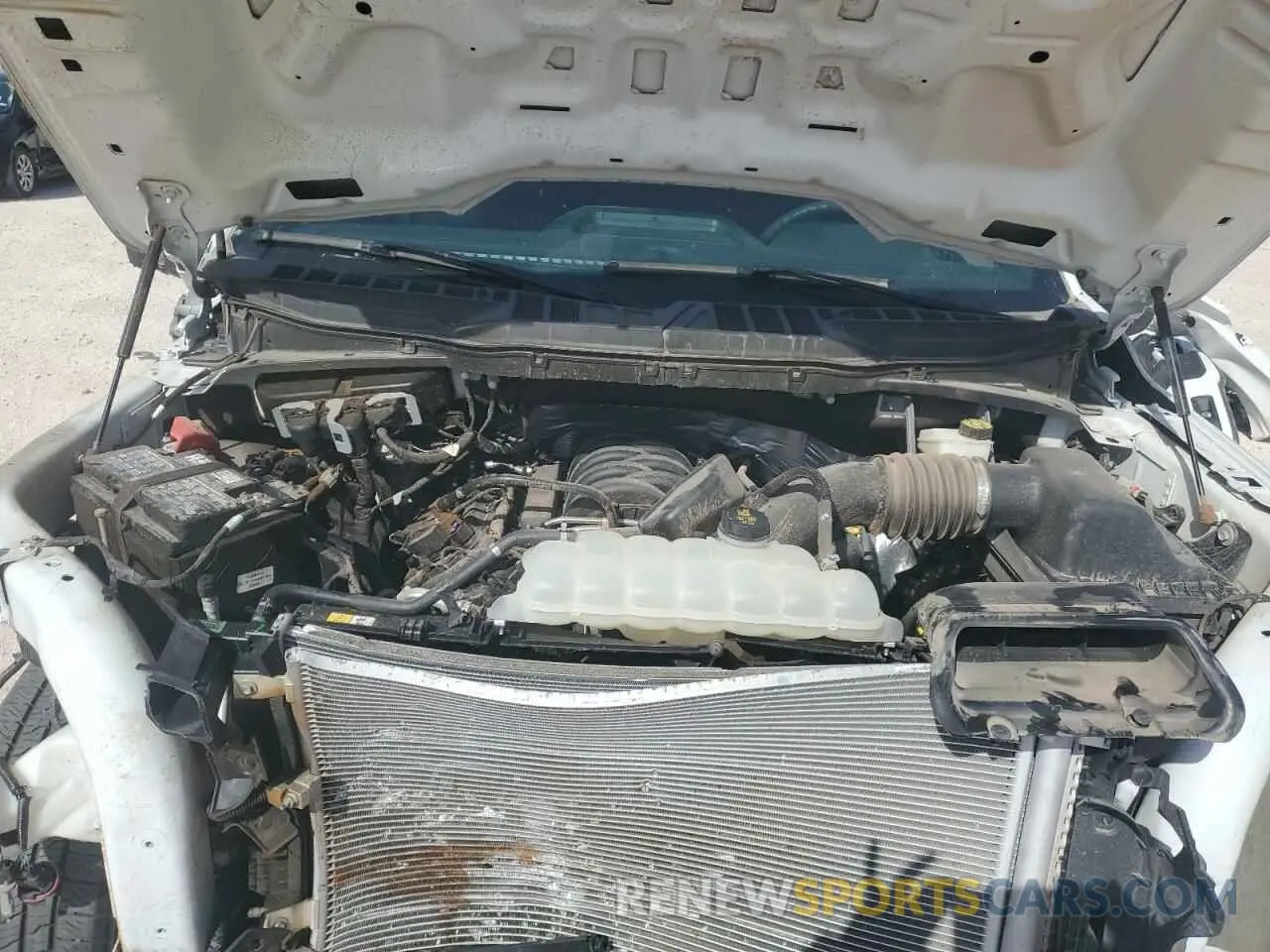 11 Photograph of a damaged car 1FTEW2K53RKE85972 FORD F150 STX 2024