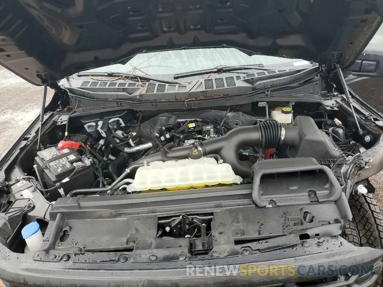 11 Фотография поврежденного автомобиля 1FTEW2LP1RFB39332 FORD F150 STX 2024