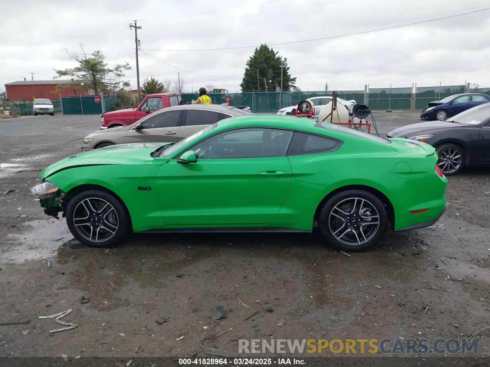 14 Photograph of a damaged car 1FA6P8CF0K5120350 FORD MUSTANG 2019