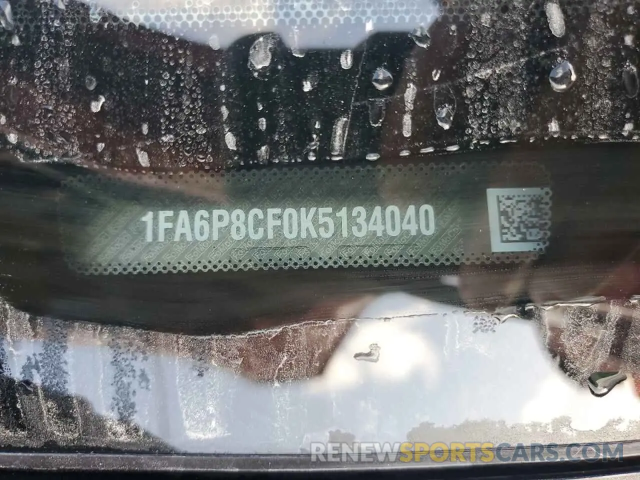 13 Фотография поврежденного автомобиля 1FA6P8CF0K5134040 FORD MUSTANG 2019